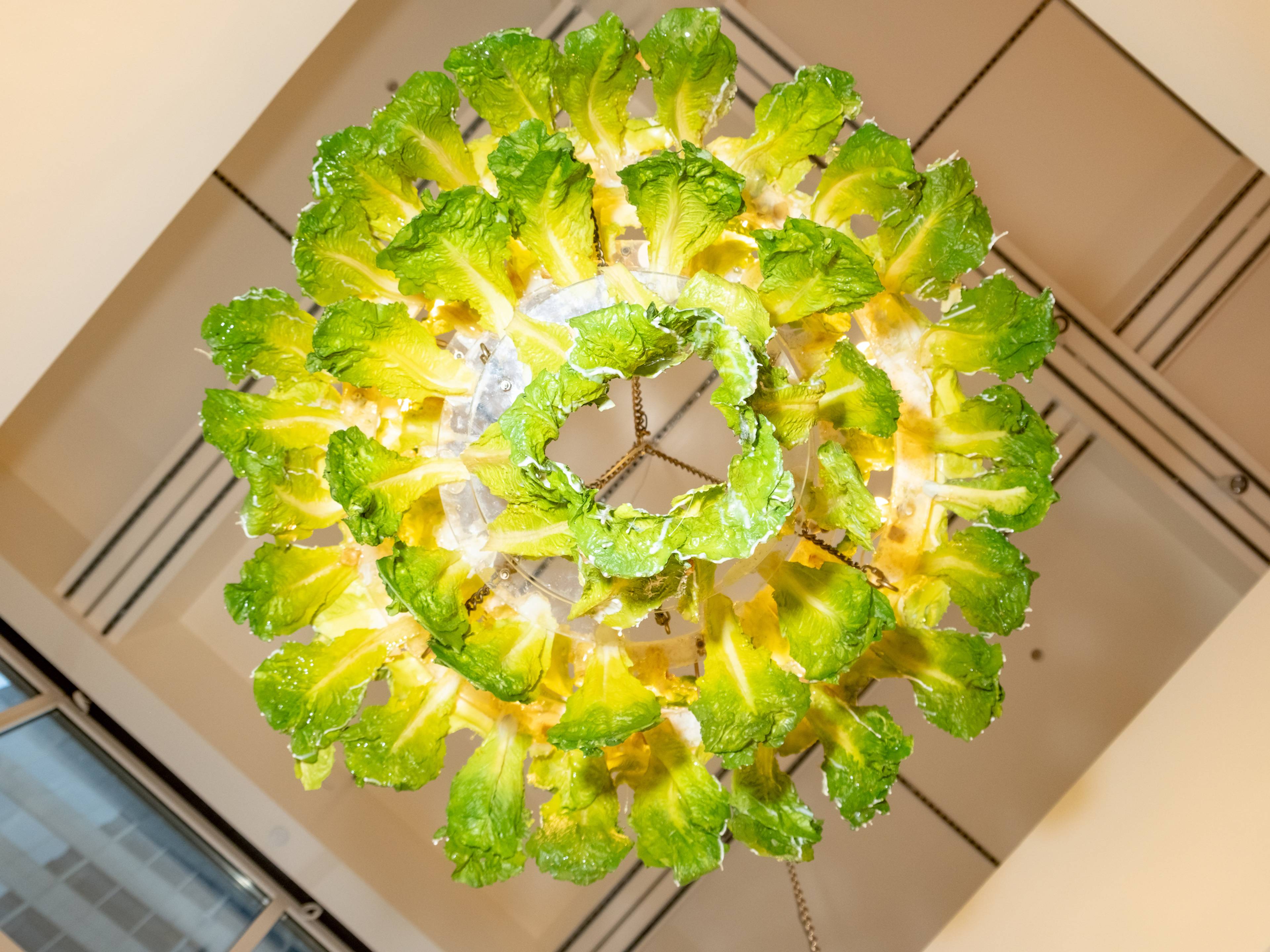 Chloe Wise, Caesar Salad Chandelier, 2021