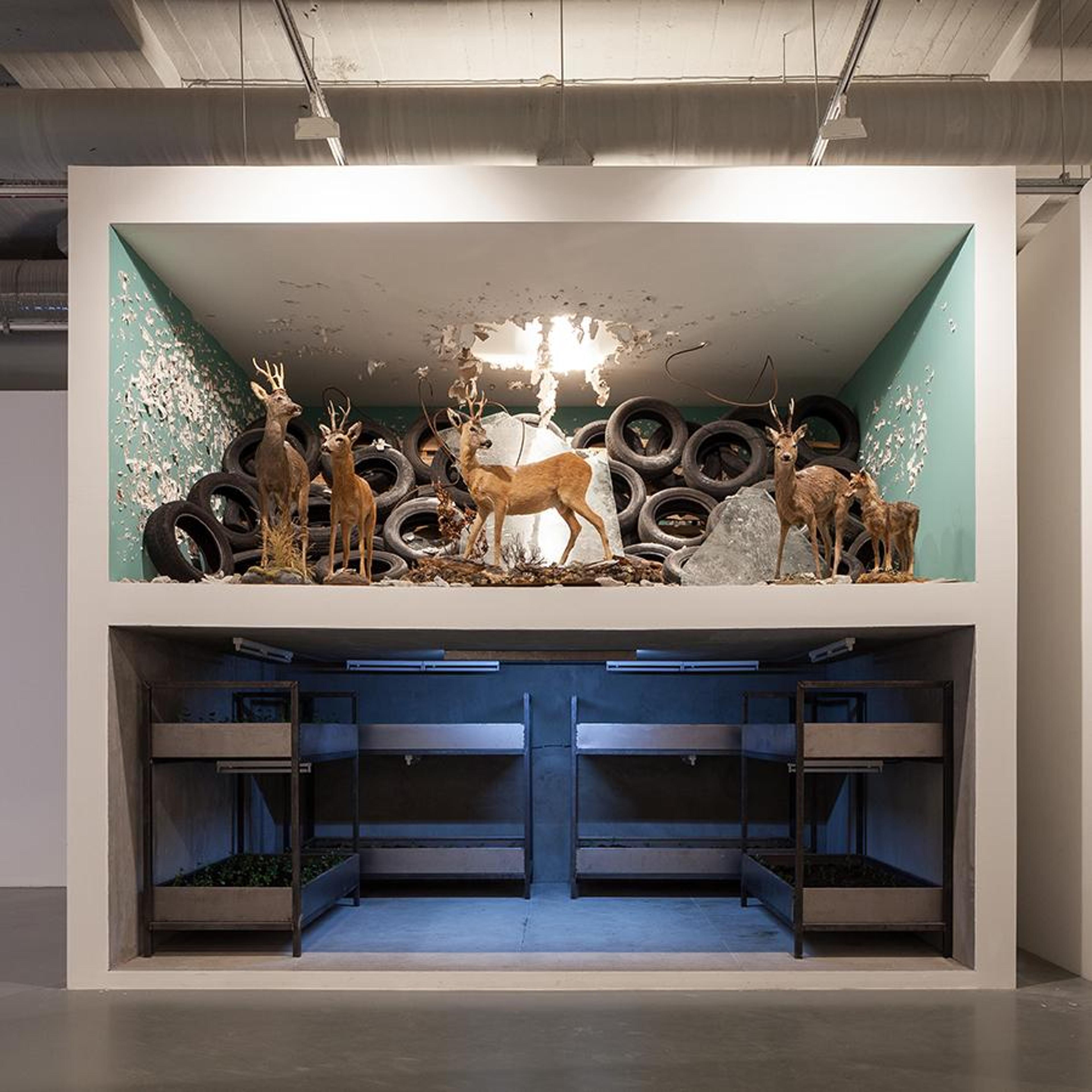 Nikita Kadan, The Shelter , 2015, metal, wood, taxidermy, glass, rubber, paint. &copy; 2015