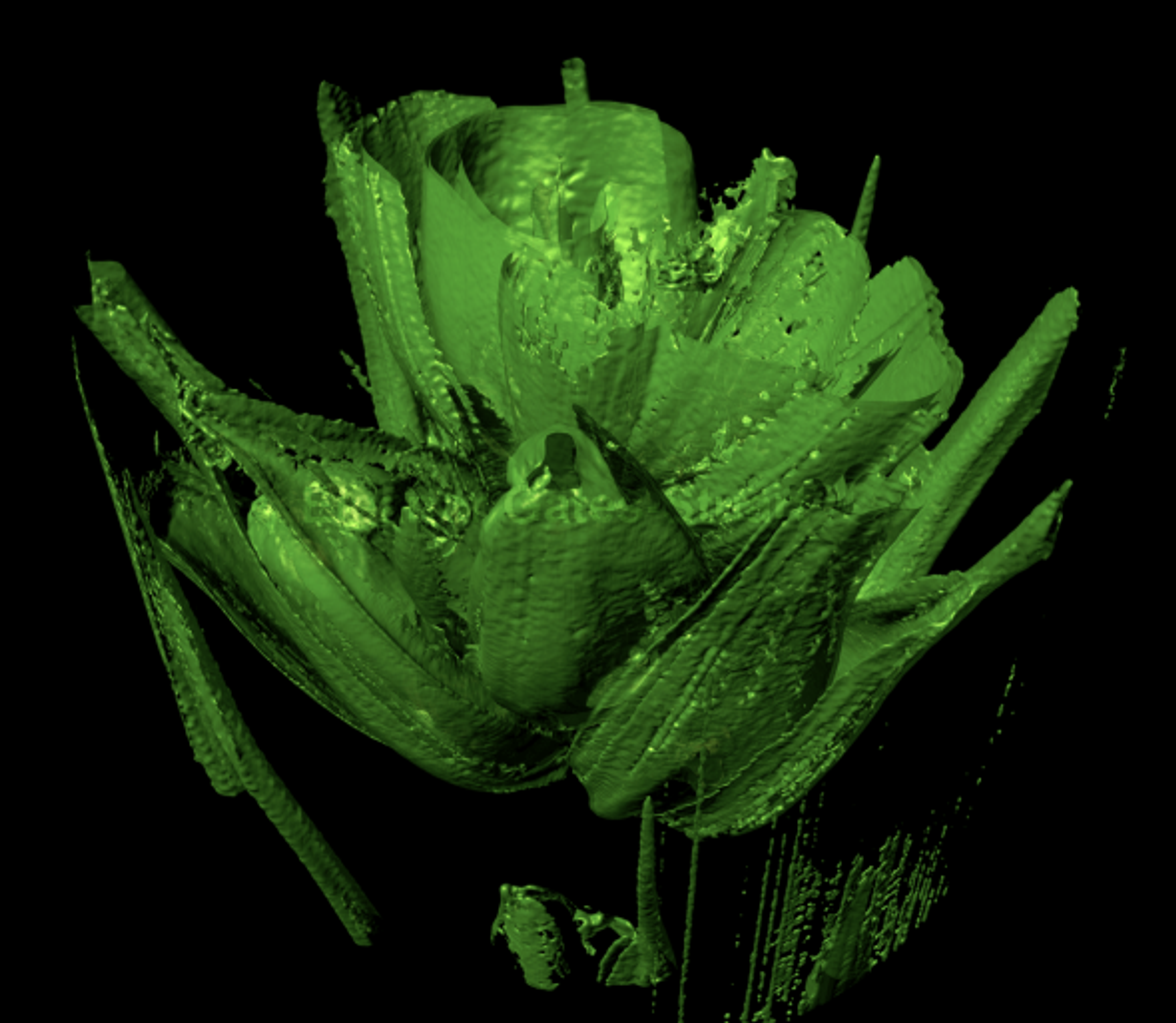 Image Import 3