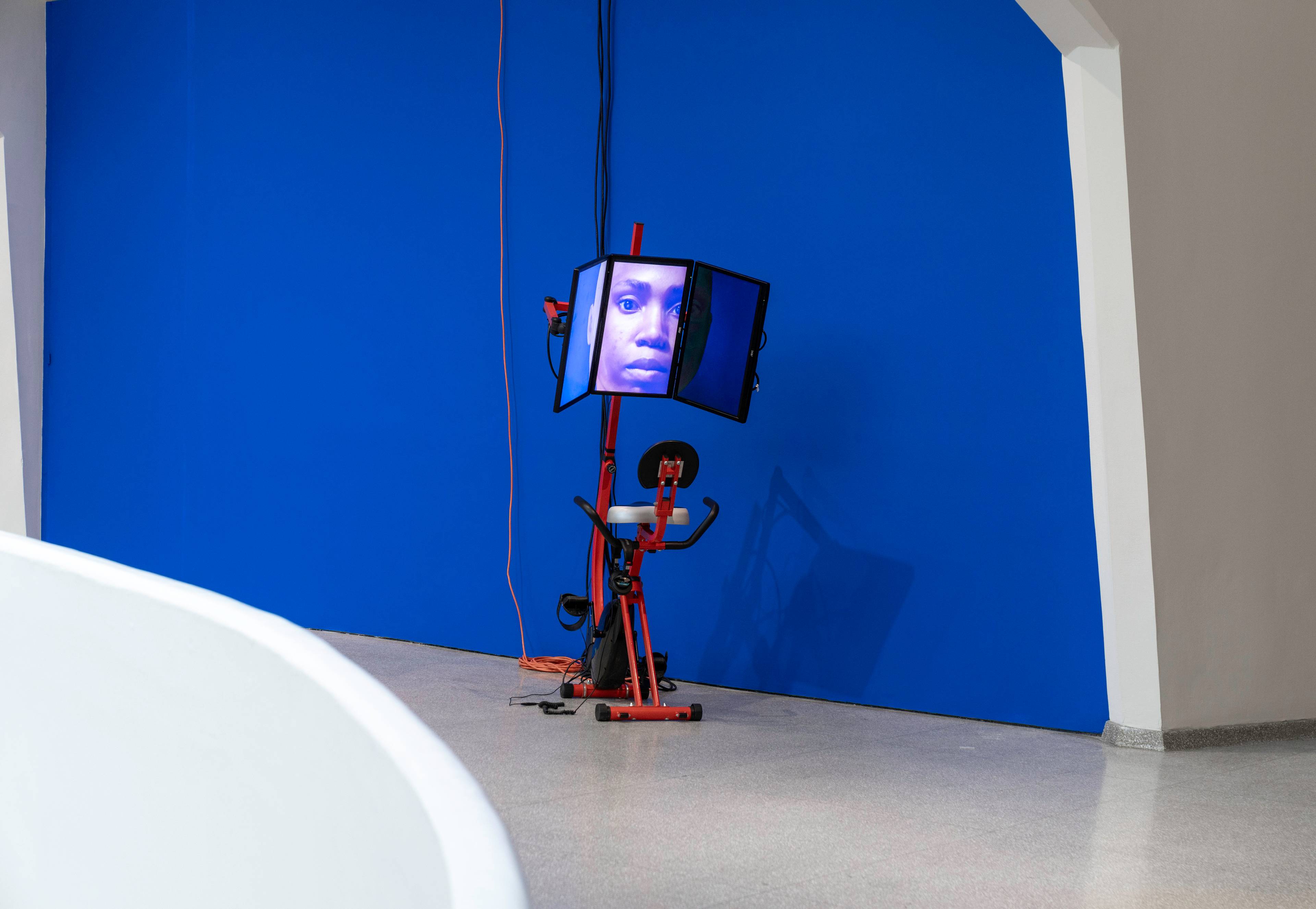 Sondra Perry, Graft and Ash for a Three Monitor Workstation, 2016