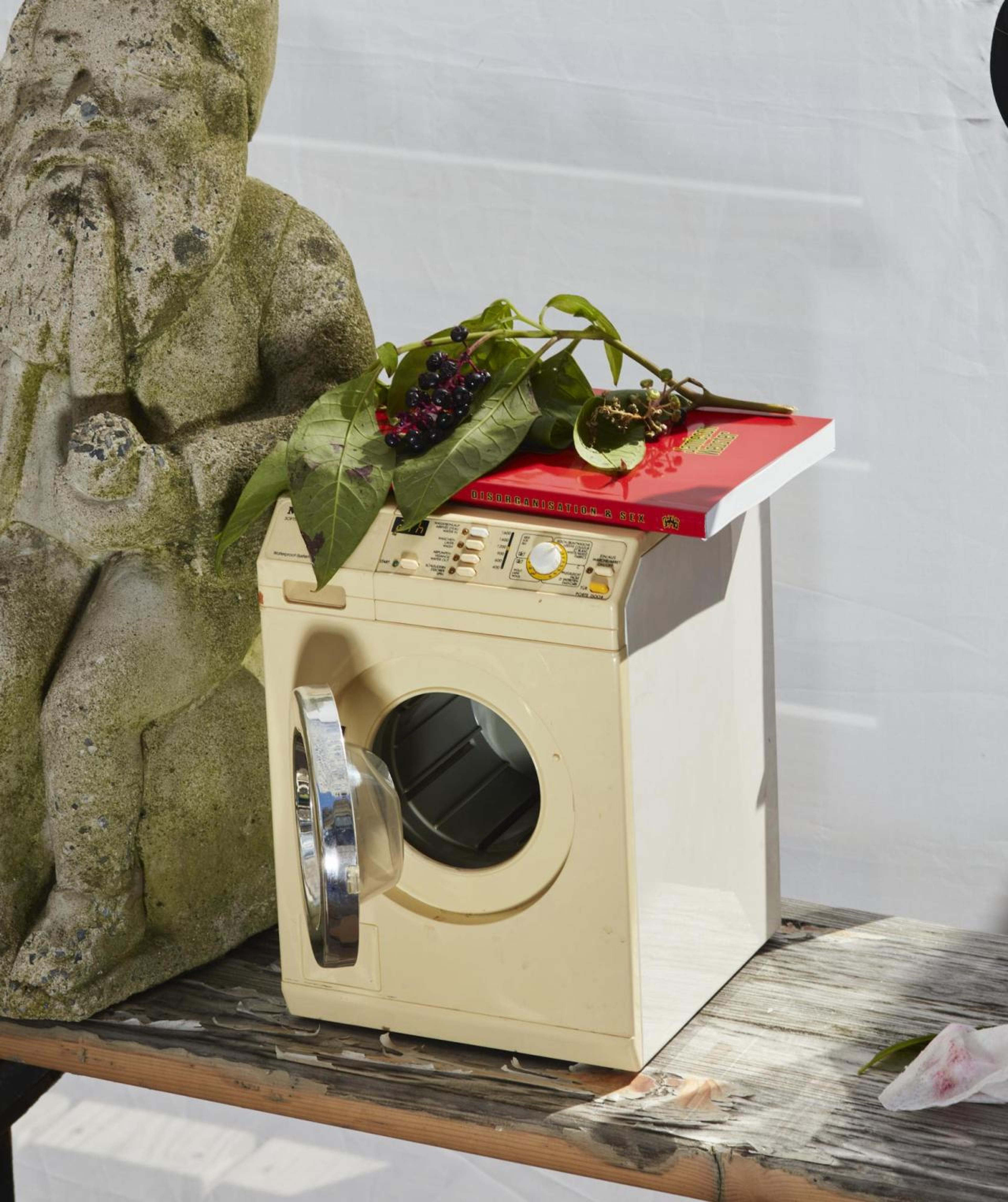 Roe Ethridge,  Prick Washer with Ador-gnome , 2022