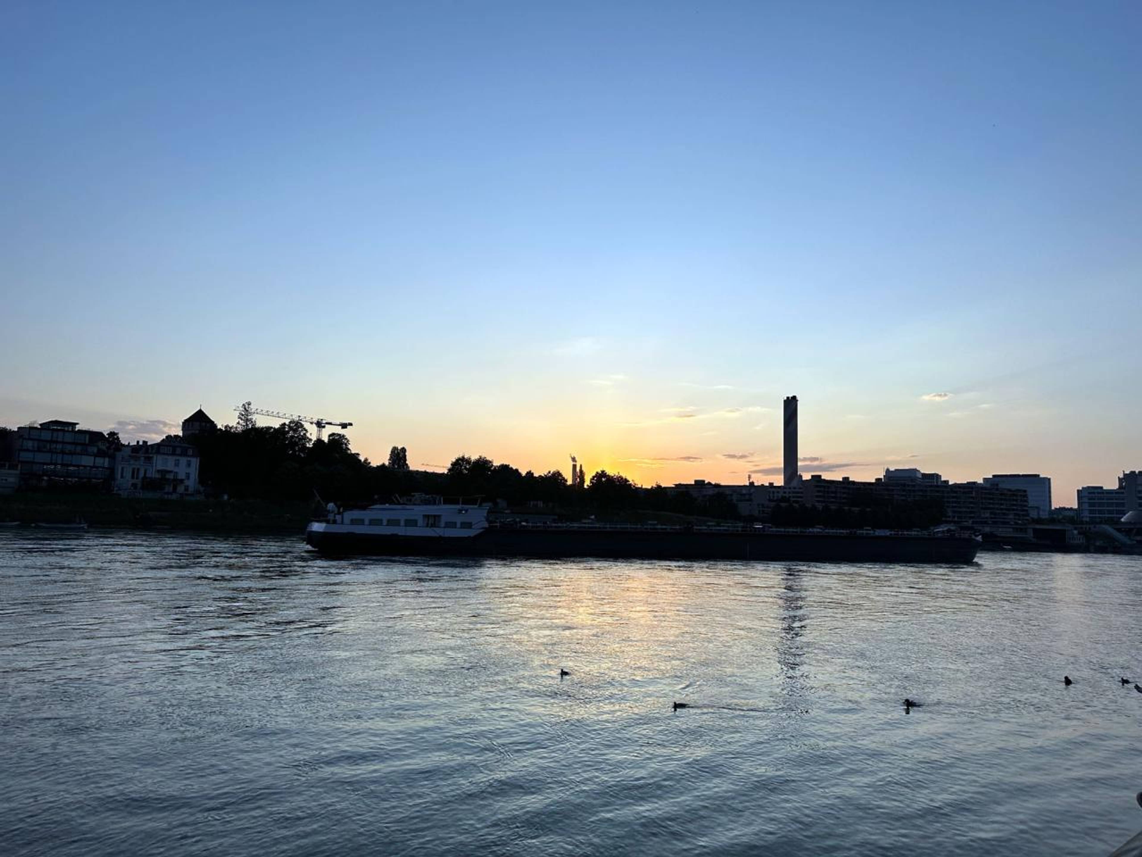 The Rhine at sunset