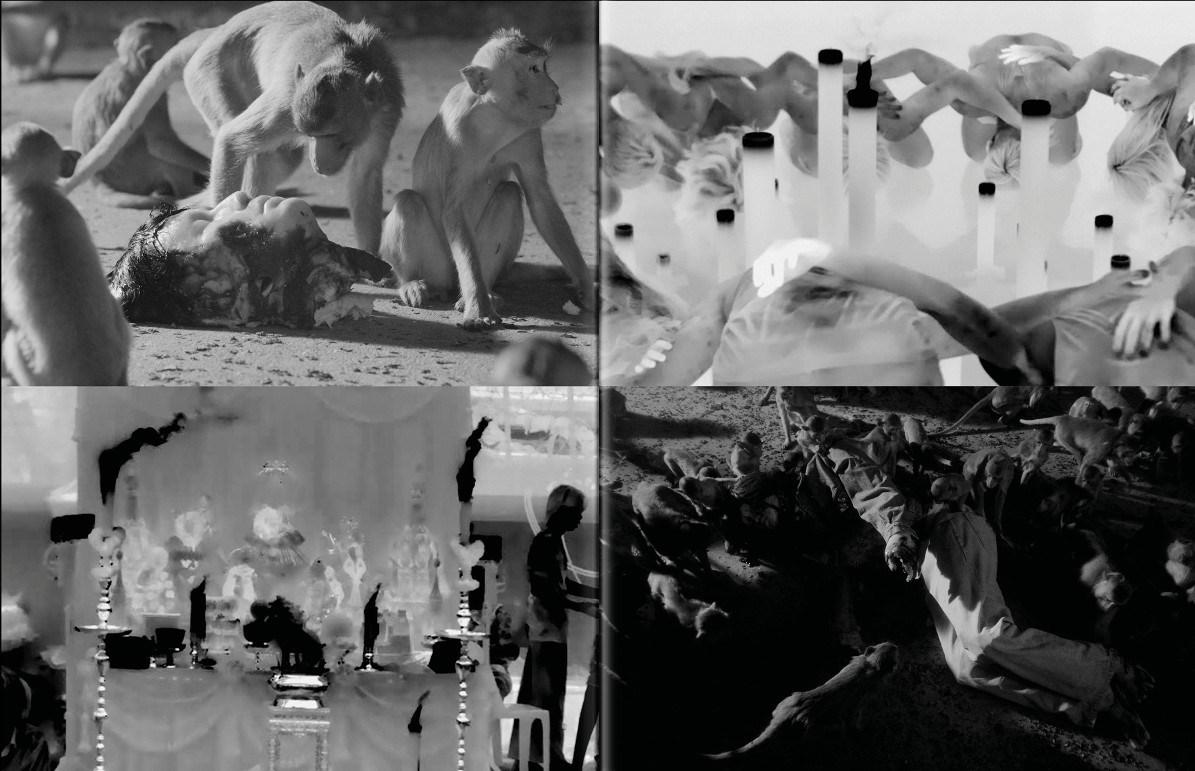 Spike #88 – Visual Essay