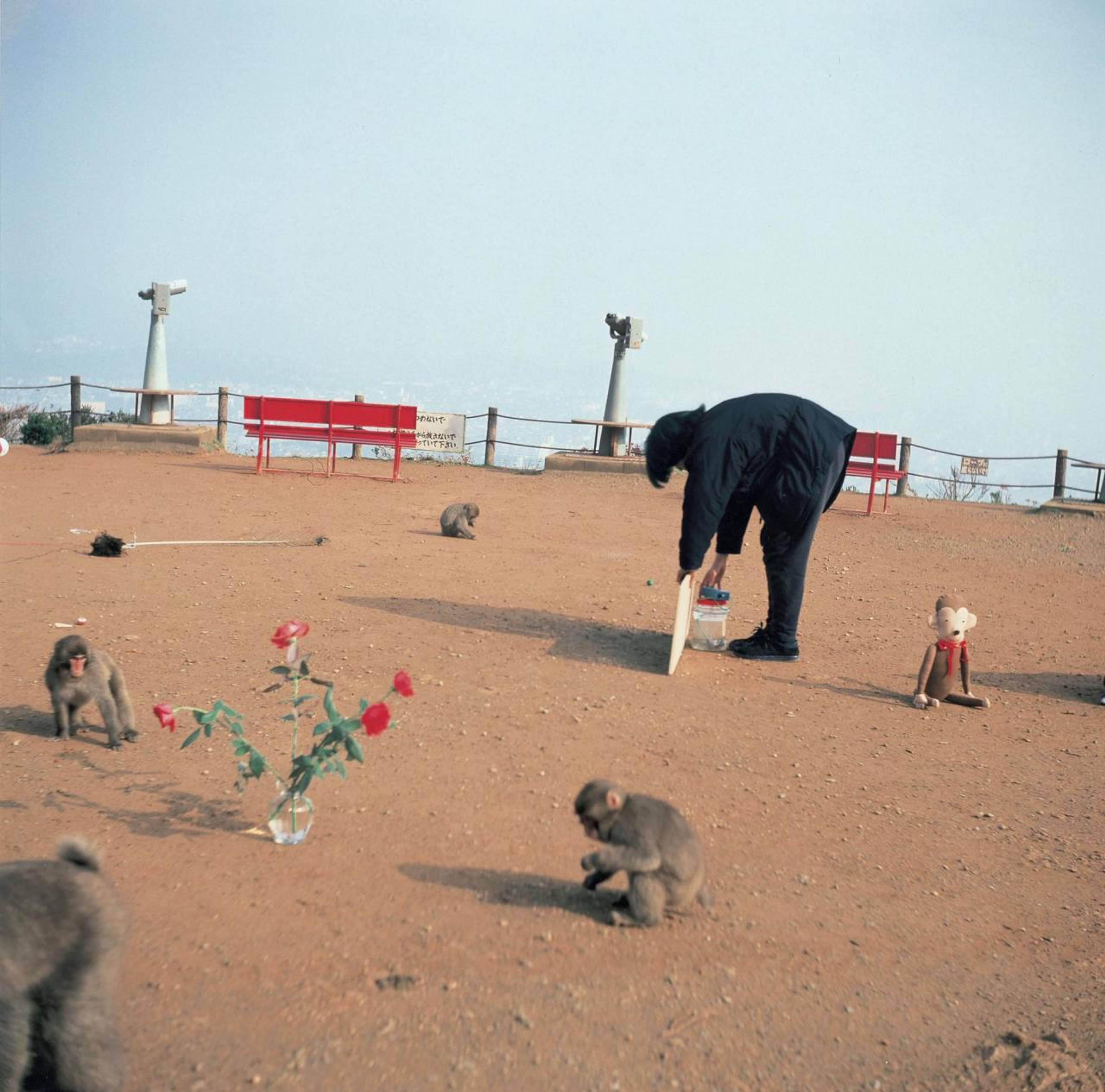       Shimabuku, Exhibition for the Monkeys, 1992. © Shimabuku. Courtesy: the artist and Air de Paris, Romainville