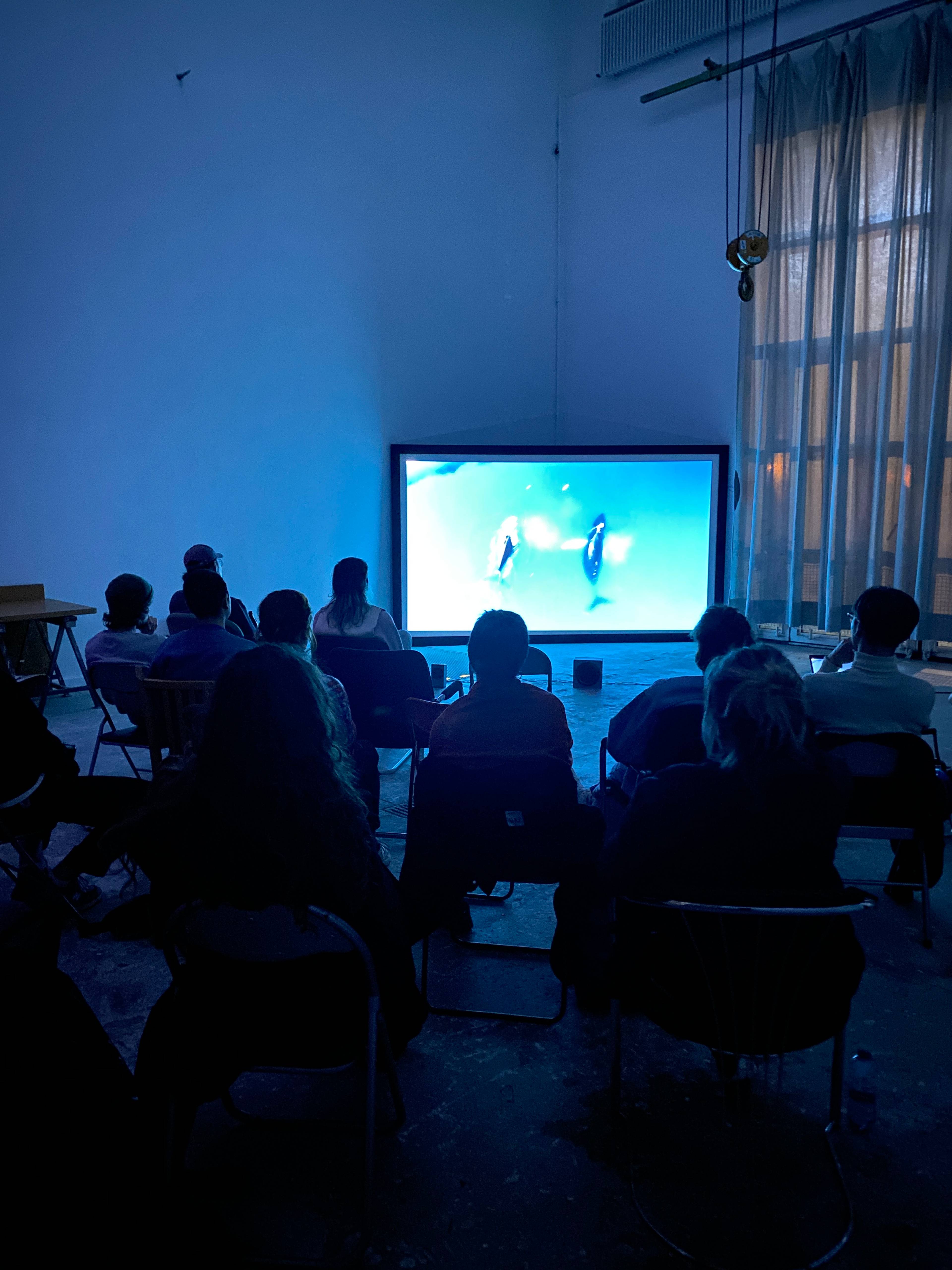 Screening of Ivalo Frank’s film The Last Human during Mittwochsbar at the Kunstakademie Karlsruhe 