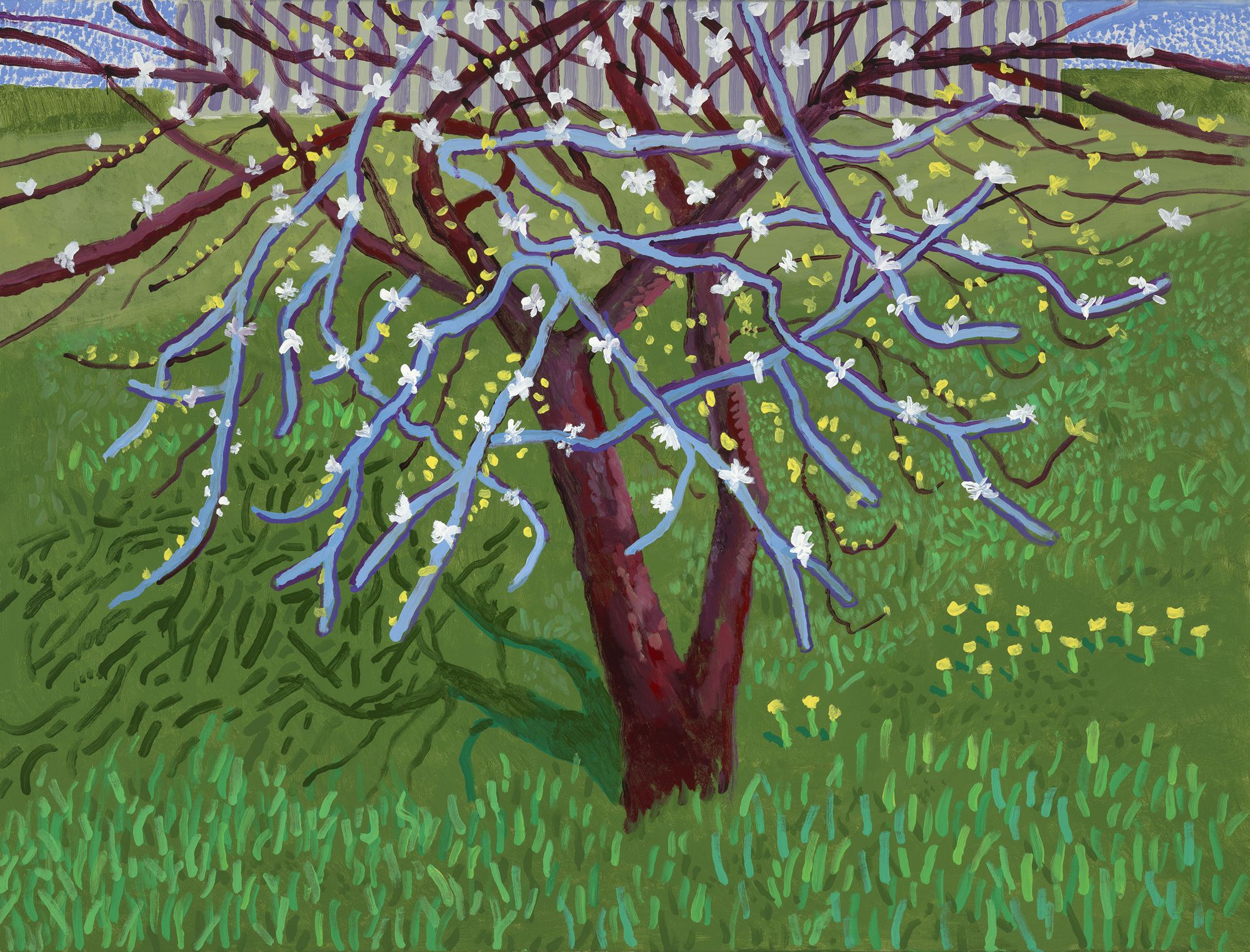 Blossom on a Tree, 2023