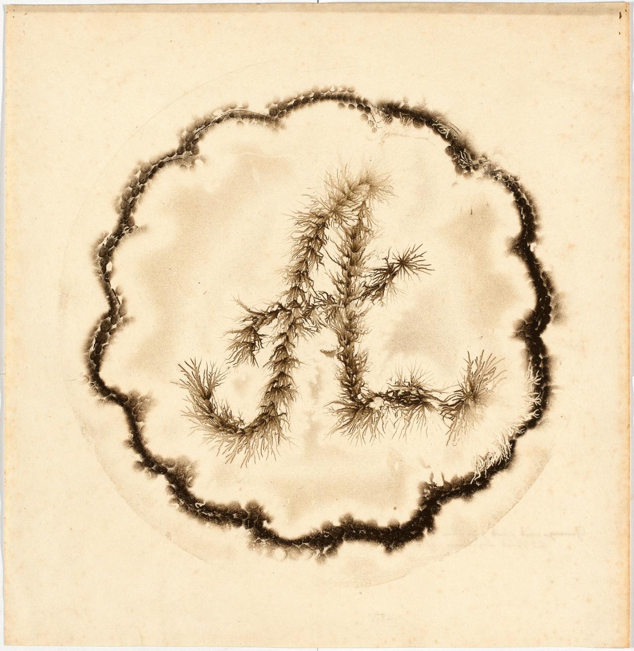 Adolf Traugott von Gersdorff, Lichtenberg Figure