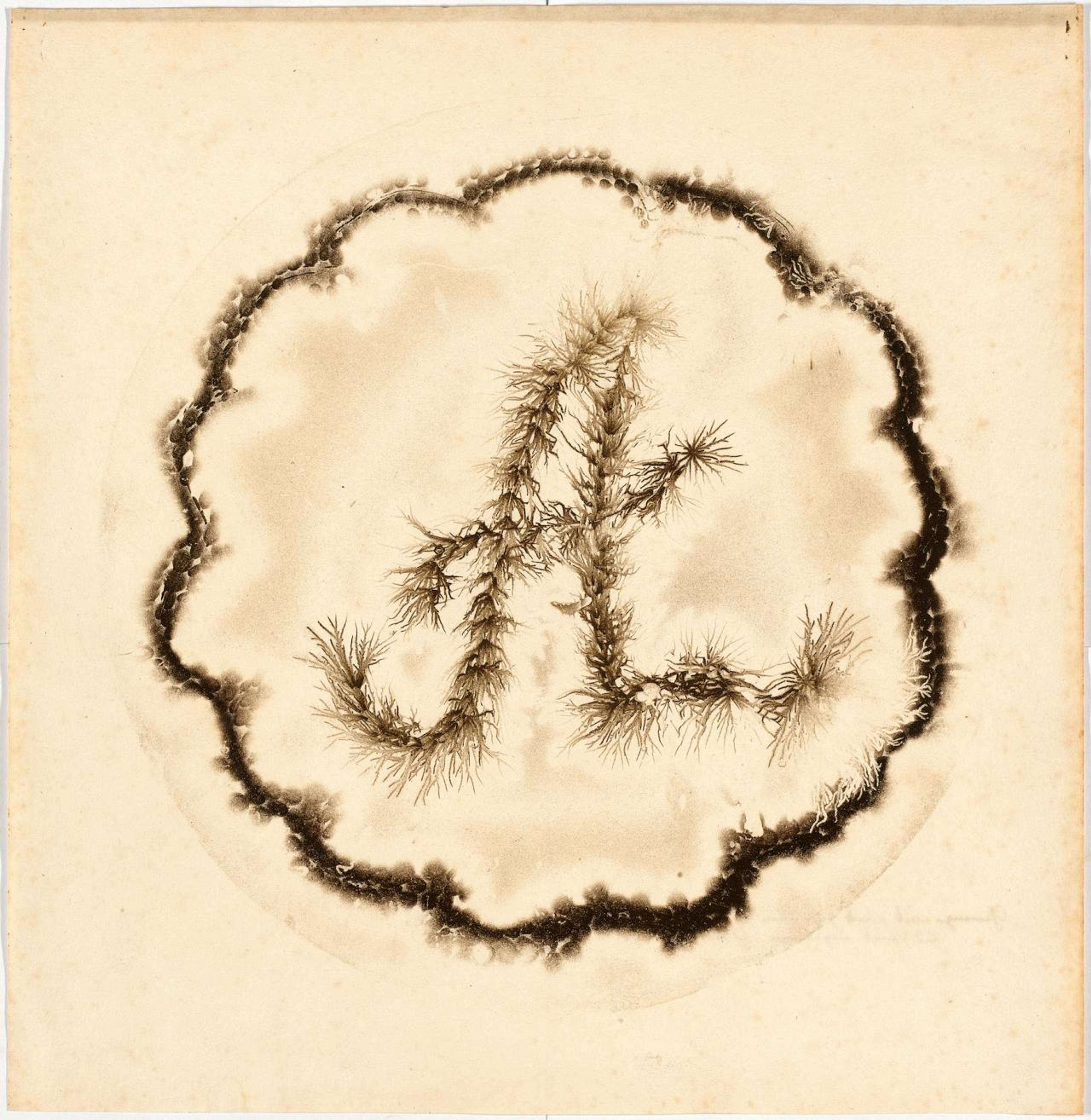 Adolf Traugott von Gersdorff, Lichtenberg Figure