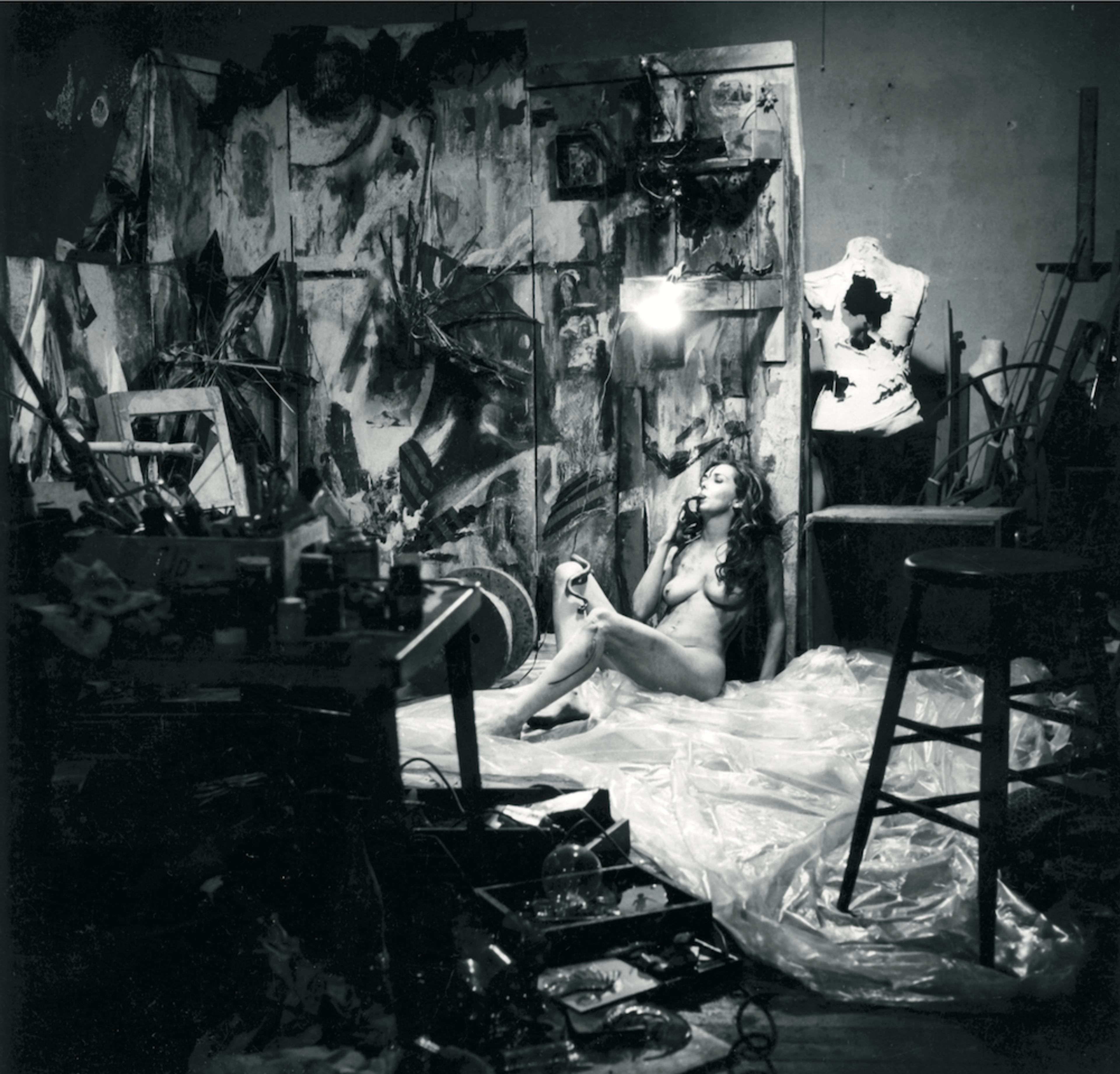 Carolee Schneemann Eye Body: 36 Transformative Actions  (1963)