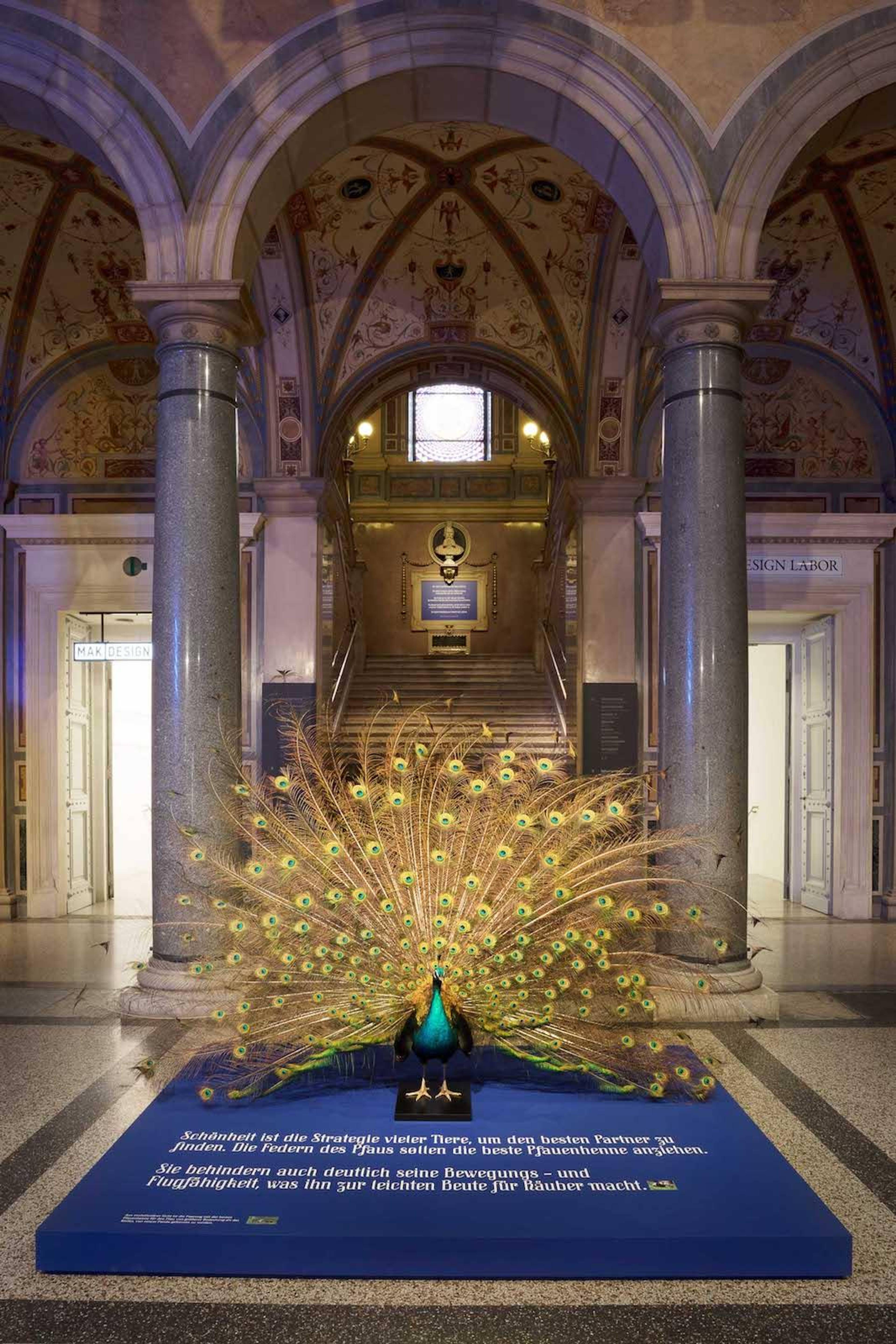 &quot;SAGMEISTER &amp; WALSH: Beauty&quot; (2018) Exhibition view at MAK &copy; Aslan Kudrnofsky/MAK