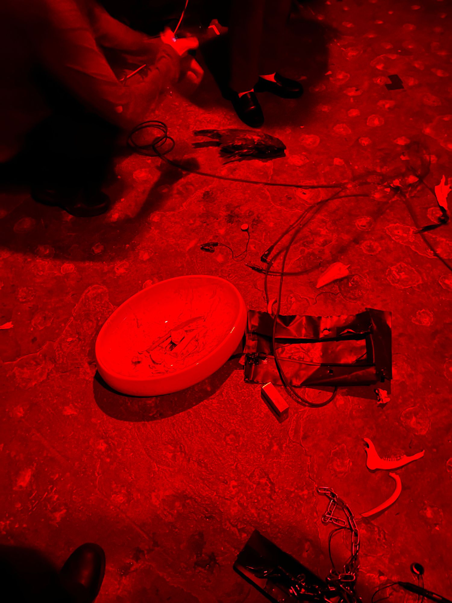 Aeon Universe and Cedric Ng