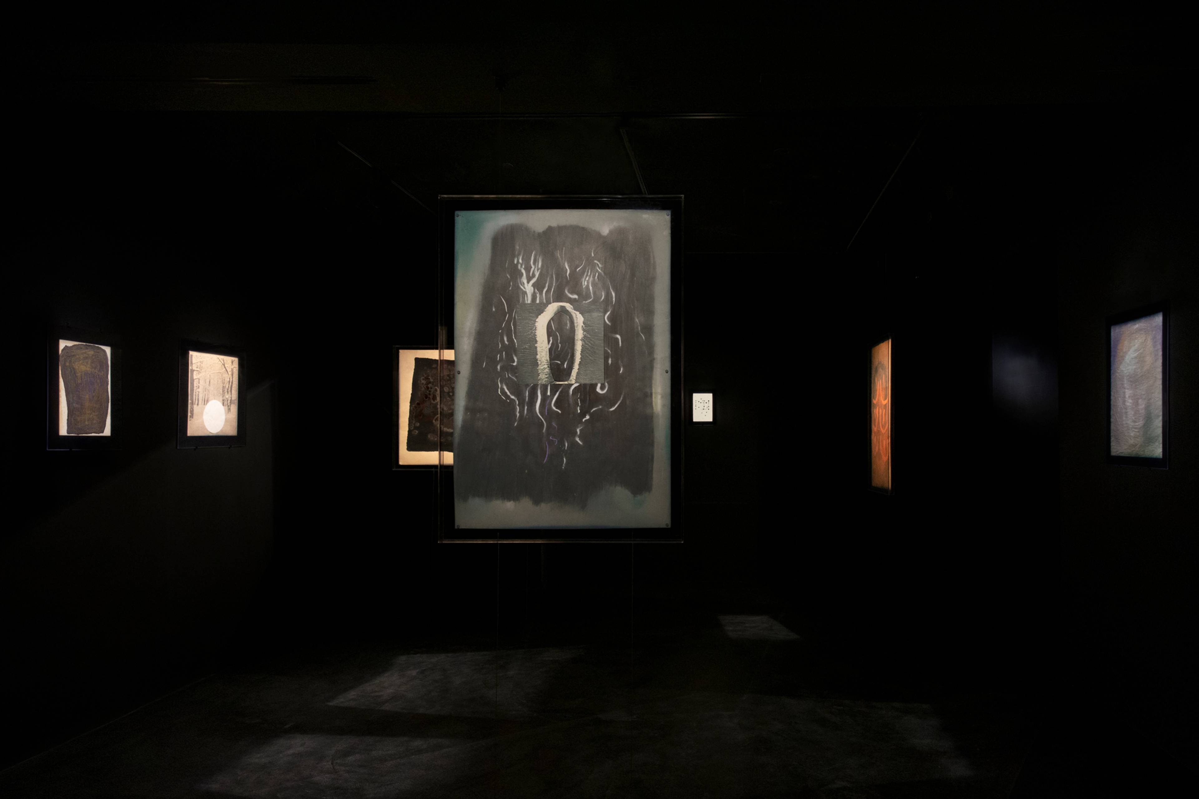 View of Yutaka Matsuzawa, “Vanishing in the Wilderness”