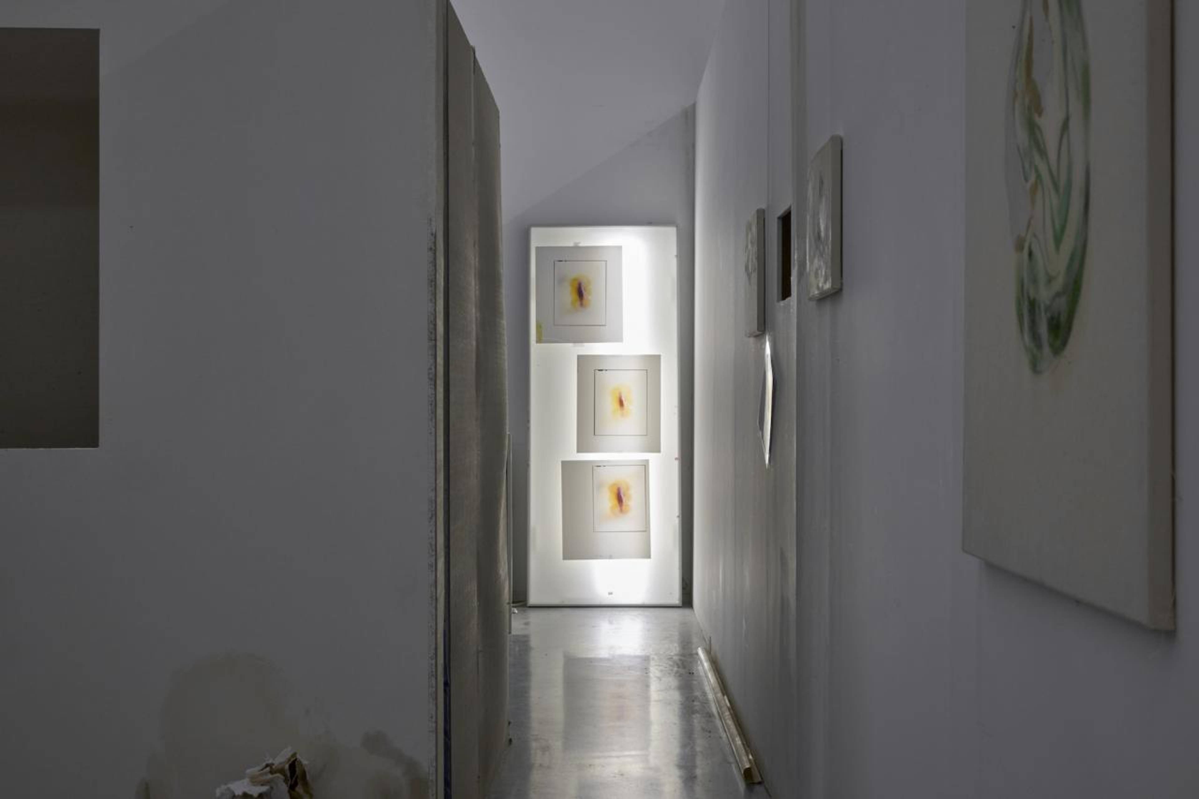 Tolia Astakhishvili, Our garden is in Bonn, 2023. Installation view, Bonner Kunstverein, Bonn, 2023