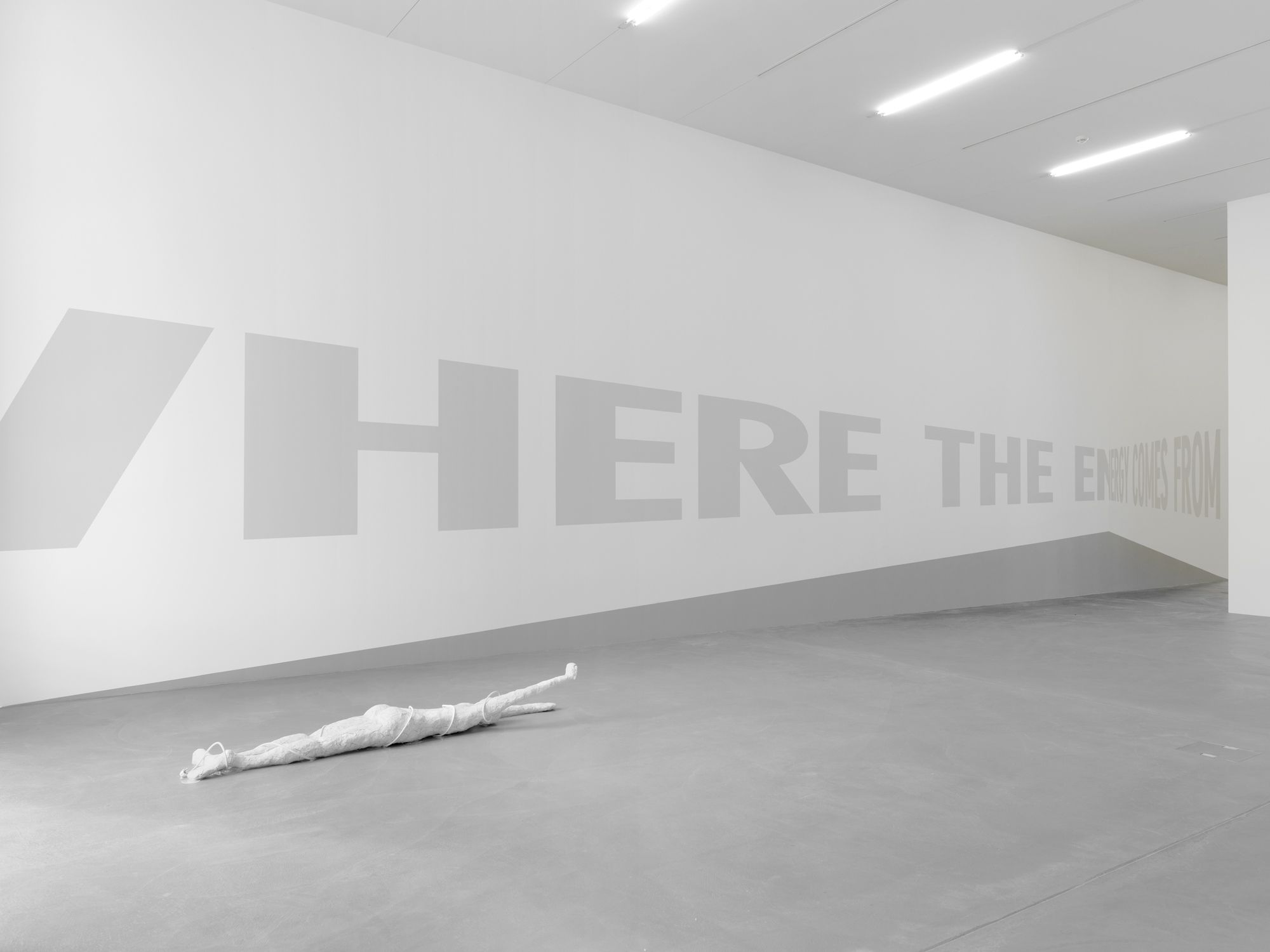 View of Jana Euler, “Where The Energy Comes From,” 2014