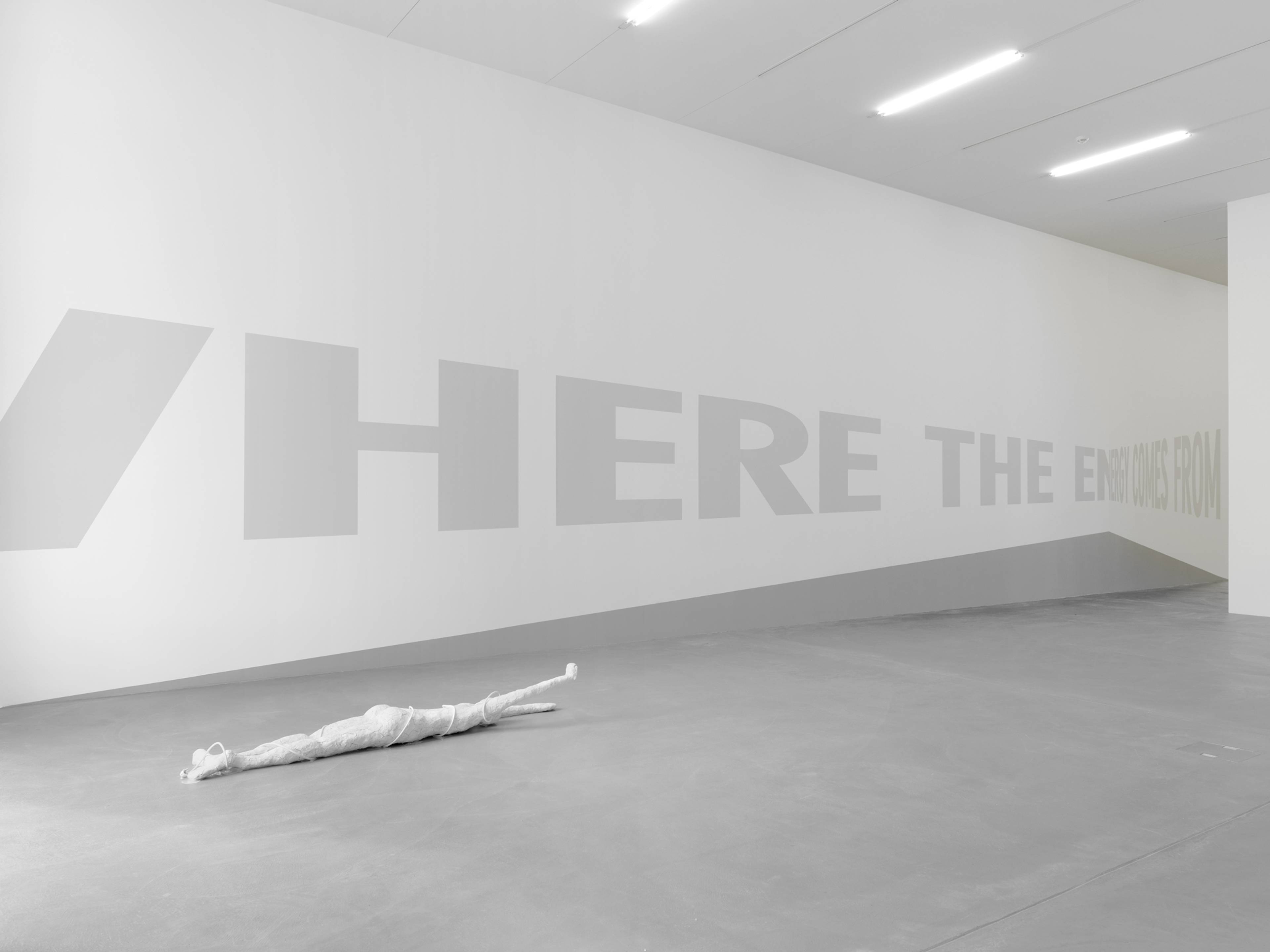 View of Jana Euler, “Where The Energy Comes From,” 2014