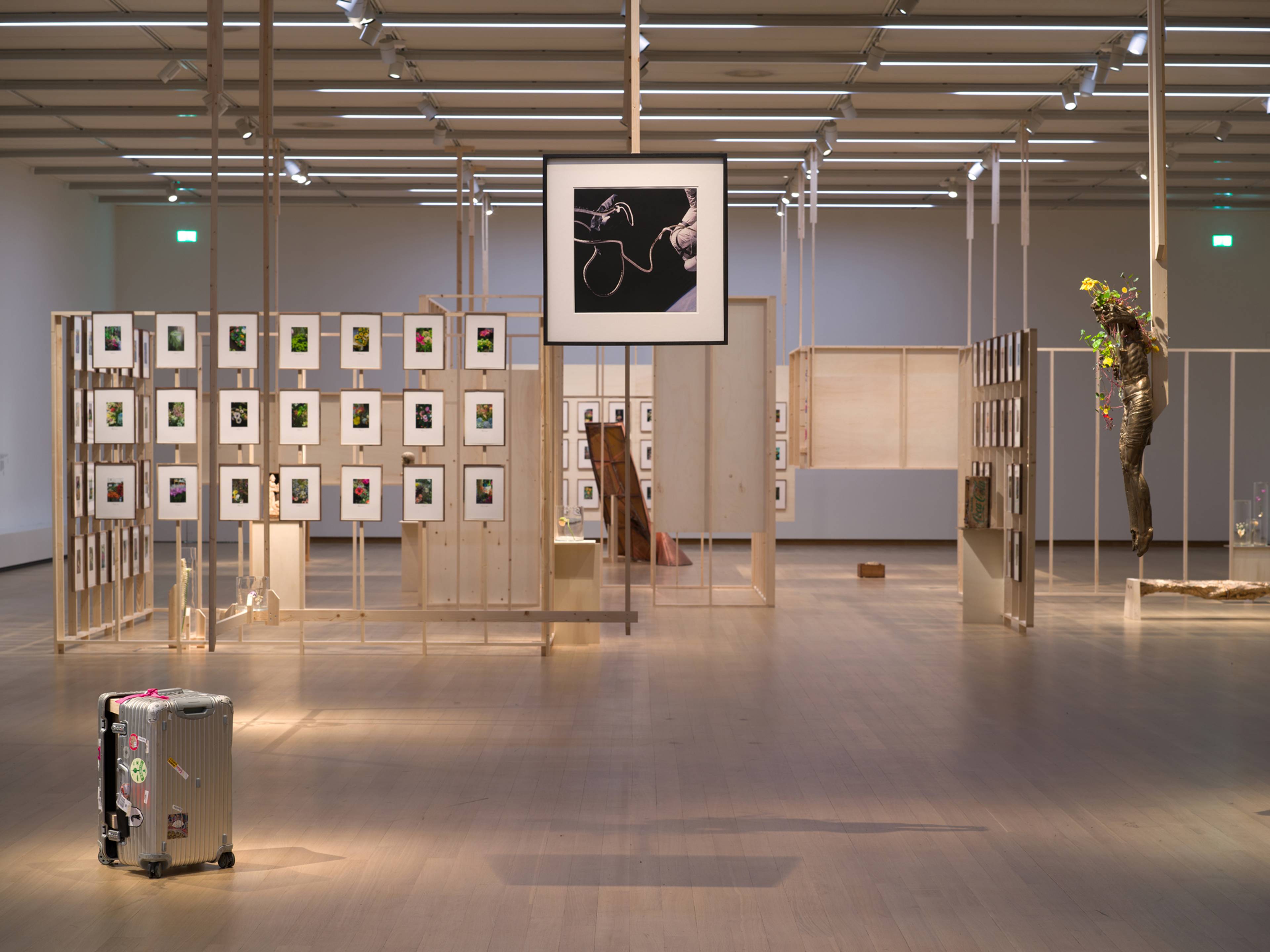 View of Danh Võ, “πνεῦμα (Ἔλισσα),” Stedelijk Museum, Amsterdam, 2026