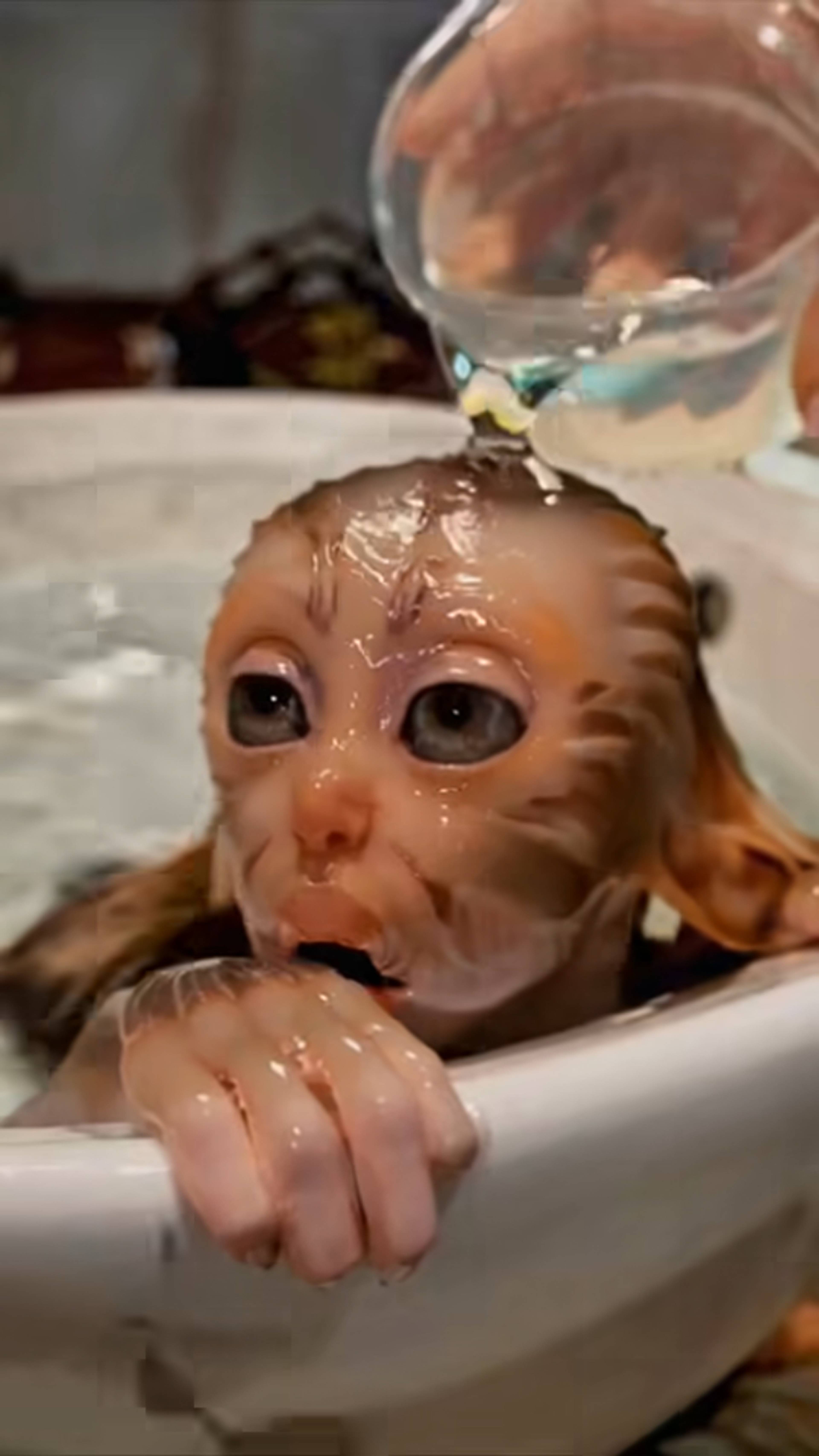 Still from a video by Voidstomper (Instagram: @voidstomper)