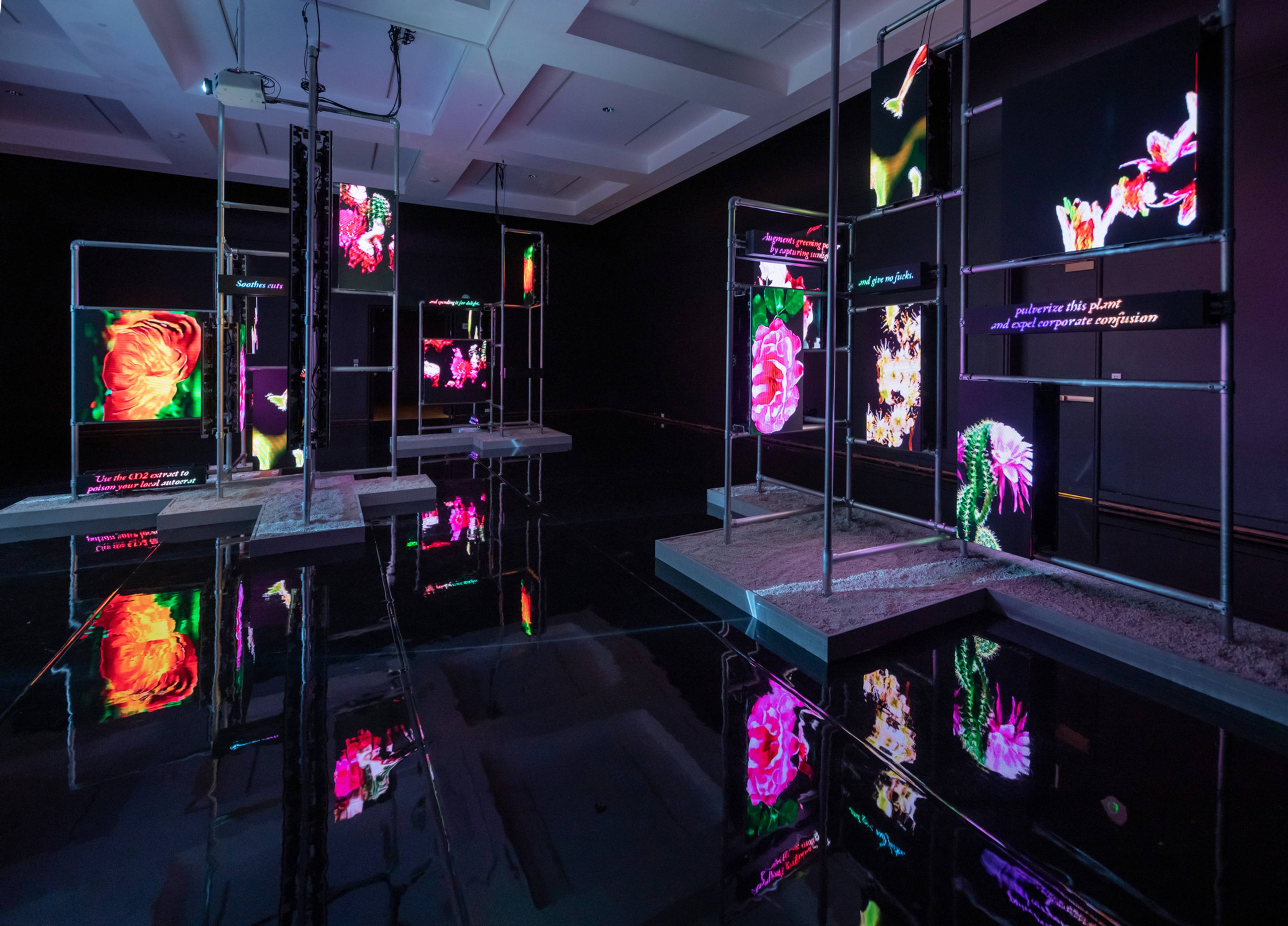 View of Hito Steyerl, “This is the Future,” Portland Art Museum, 2023