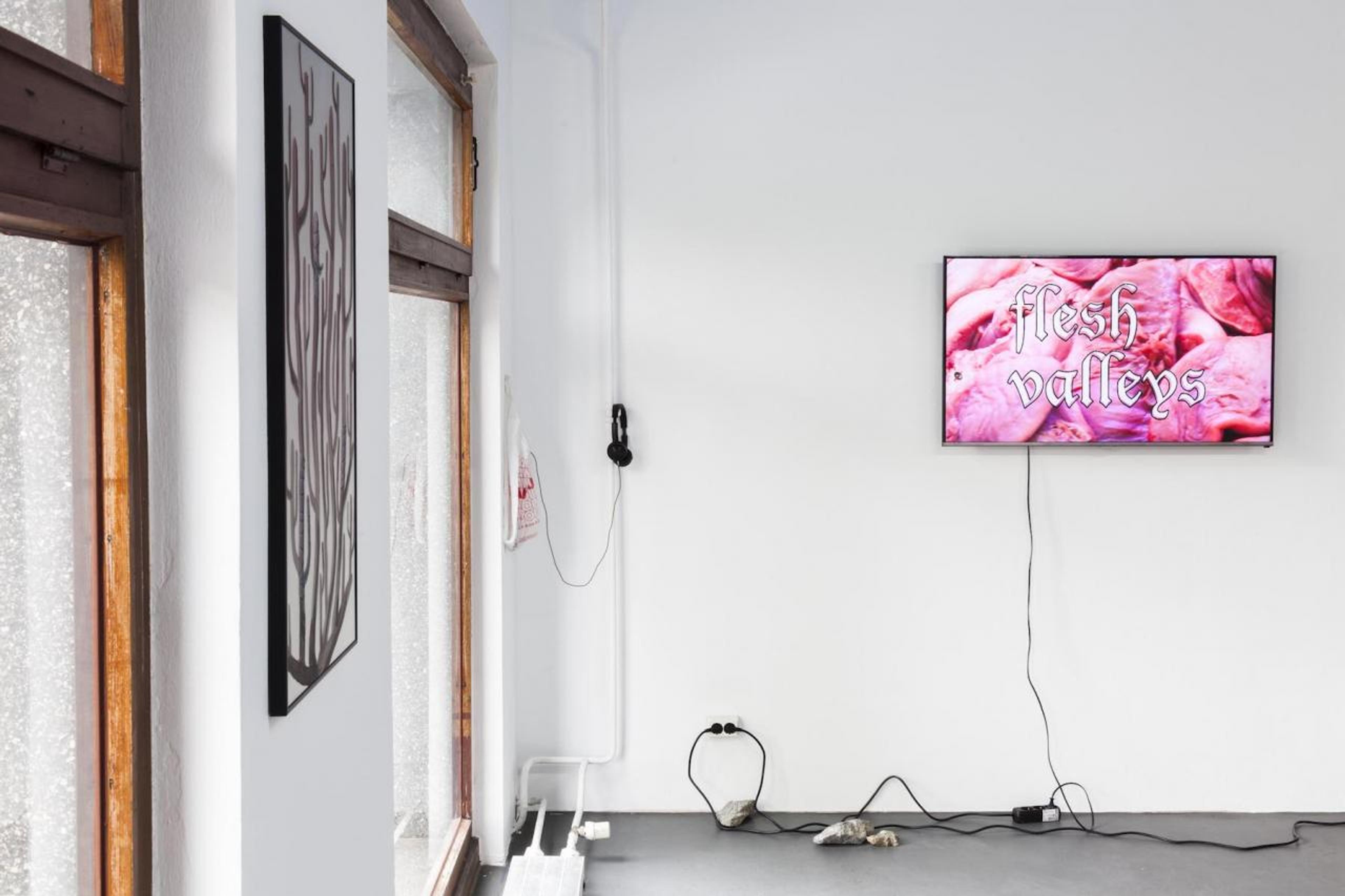 Lukas Posch, Die Nerven (getwellsoon), 2017, Acrylic on glass, aluminium, wood, 82 x 46 cm Eoghan Ryan Clamdigger, 2015, HD video, 7.55 min, Courtesy of the Artist