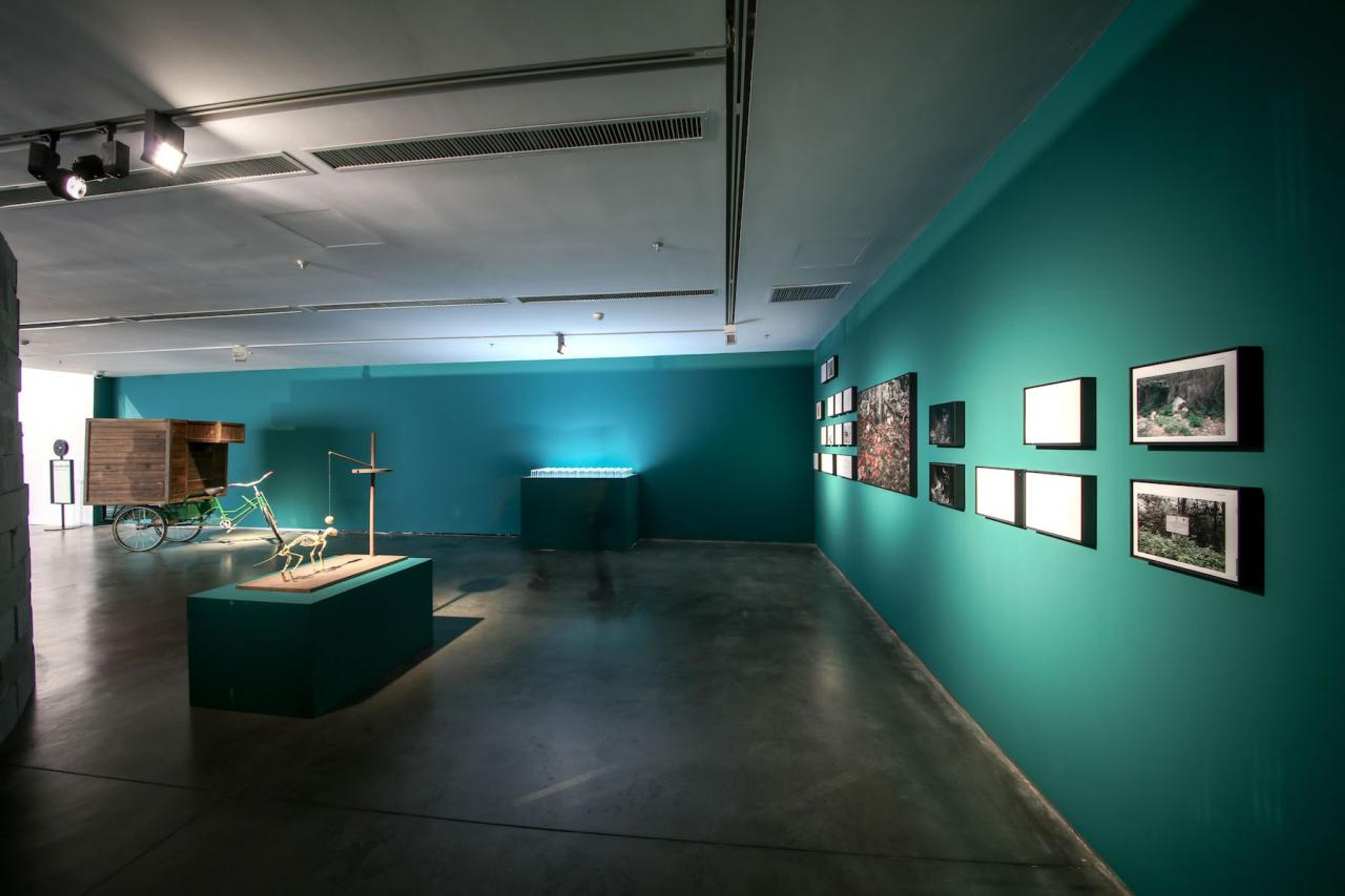 Robert Zhao Renhui Installation view &copy; Photo: Courtesy the Yinchuan Biennale