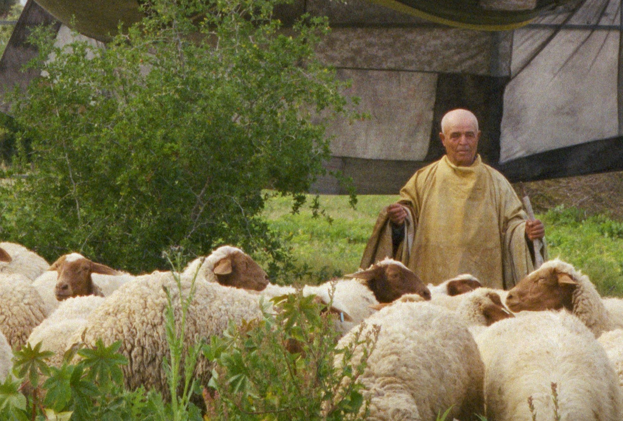 Fredj Moussa, لاد البربر [Land of Barbar], 2025