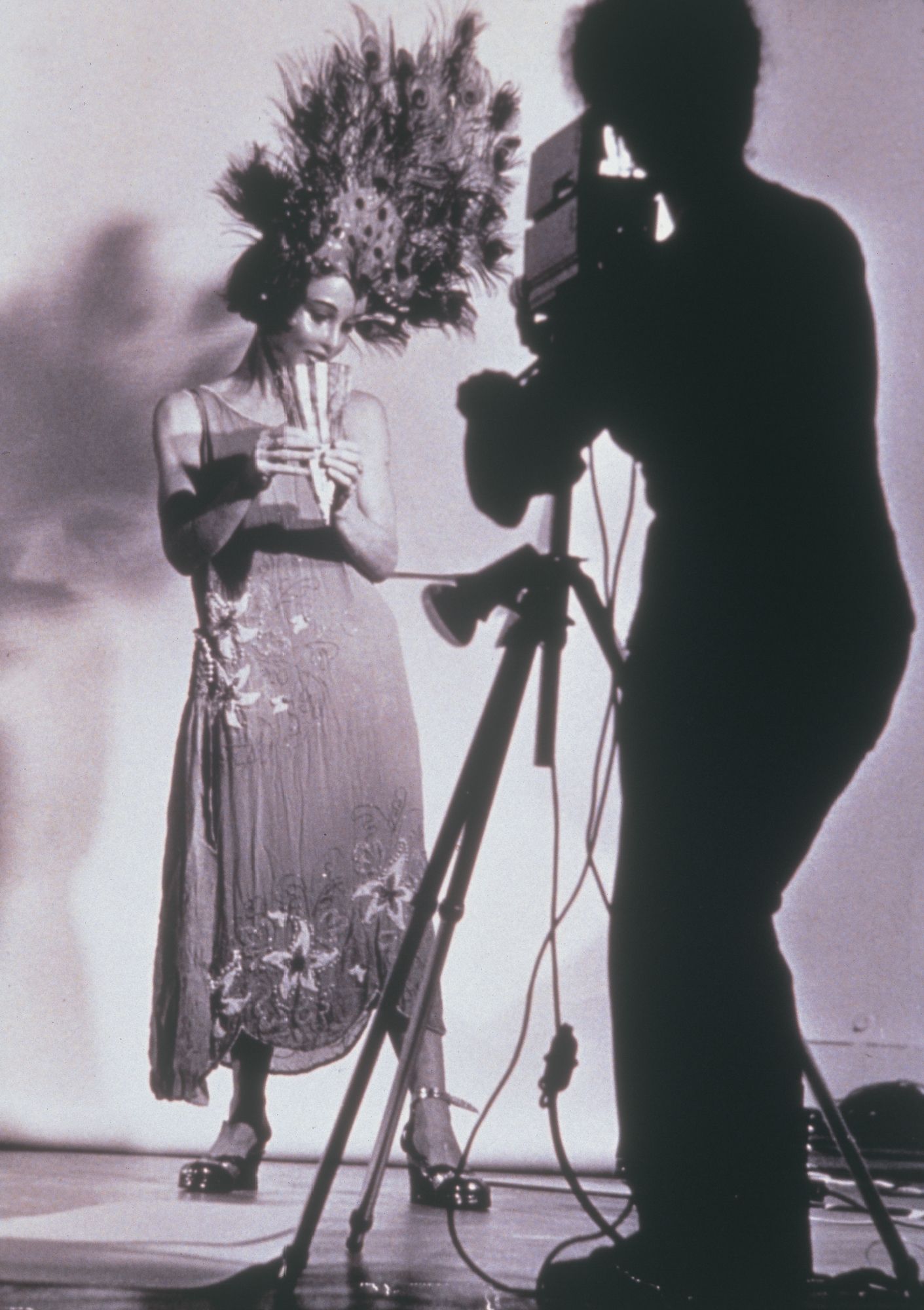 Organic Honey's Vertical Roll, 1972, with Babette Mangolte