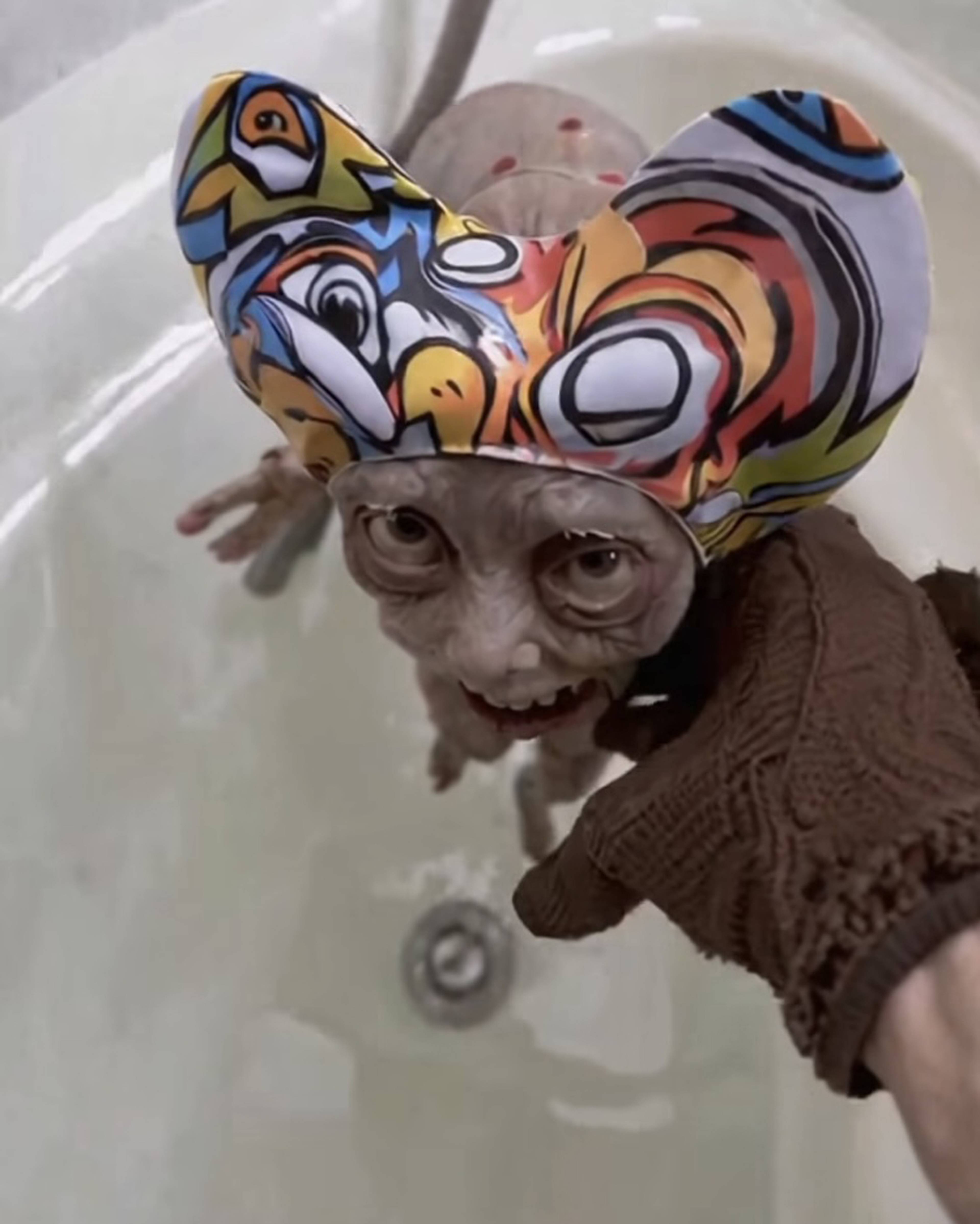 Still from a video by Voidstomper (Instagram: @voidstomper)