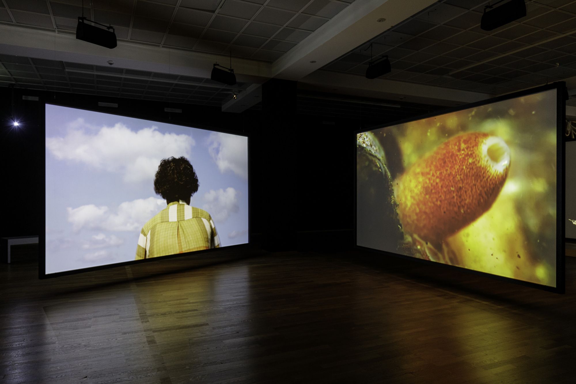 Jane Jin Kaisen, Halmang, 2023; and Portal, 2024