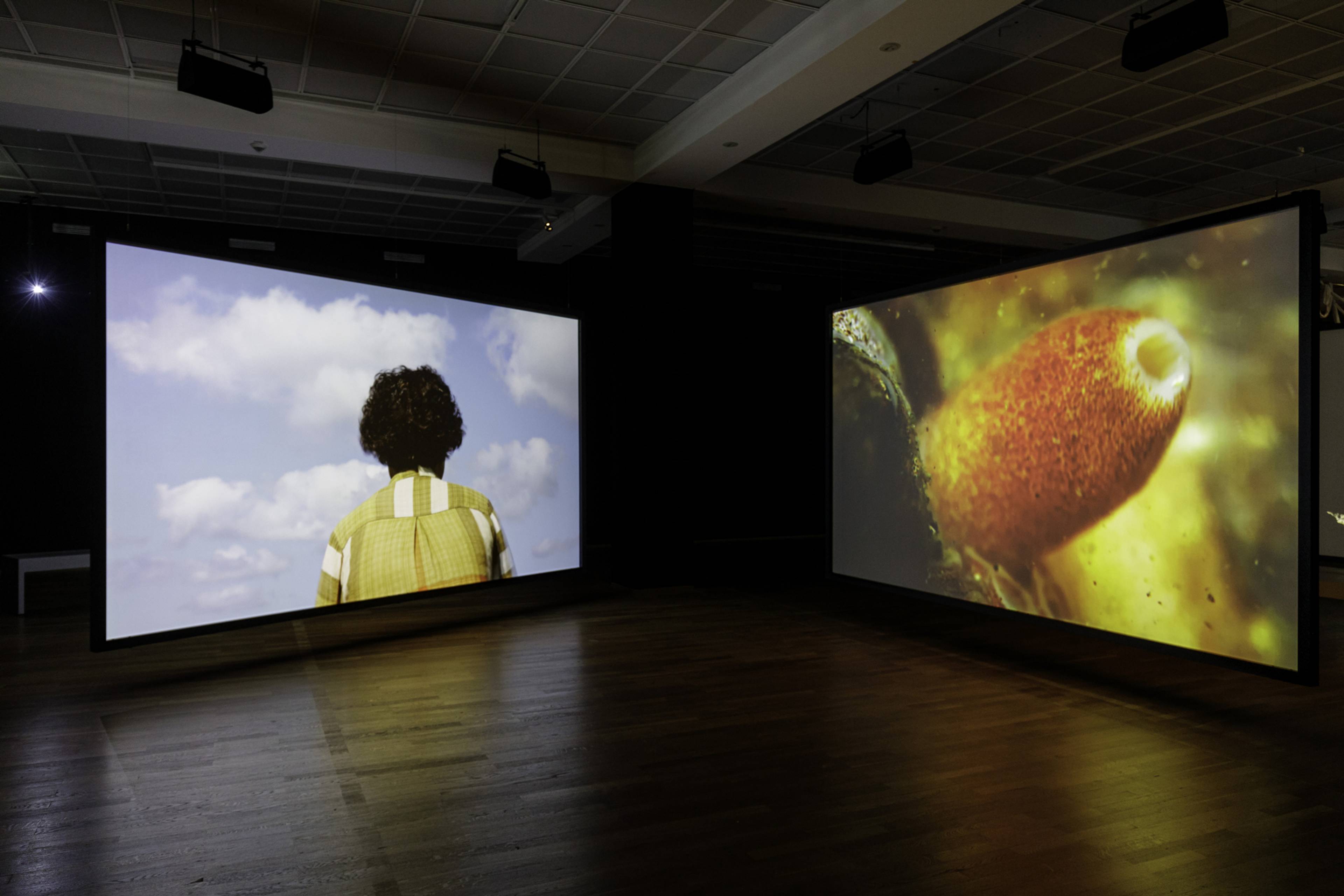 Jane Jin Kaisen, Halmang, 2023; and Portal, 2024