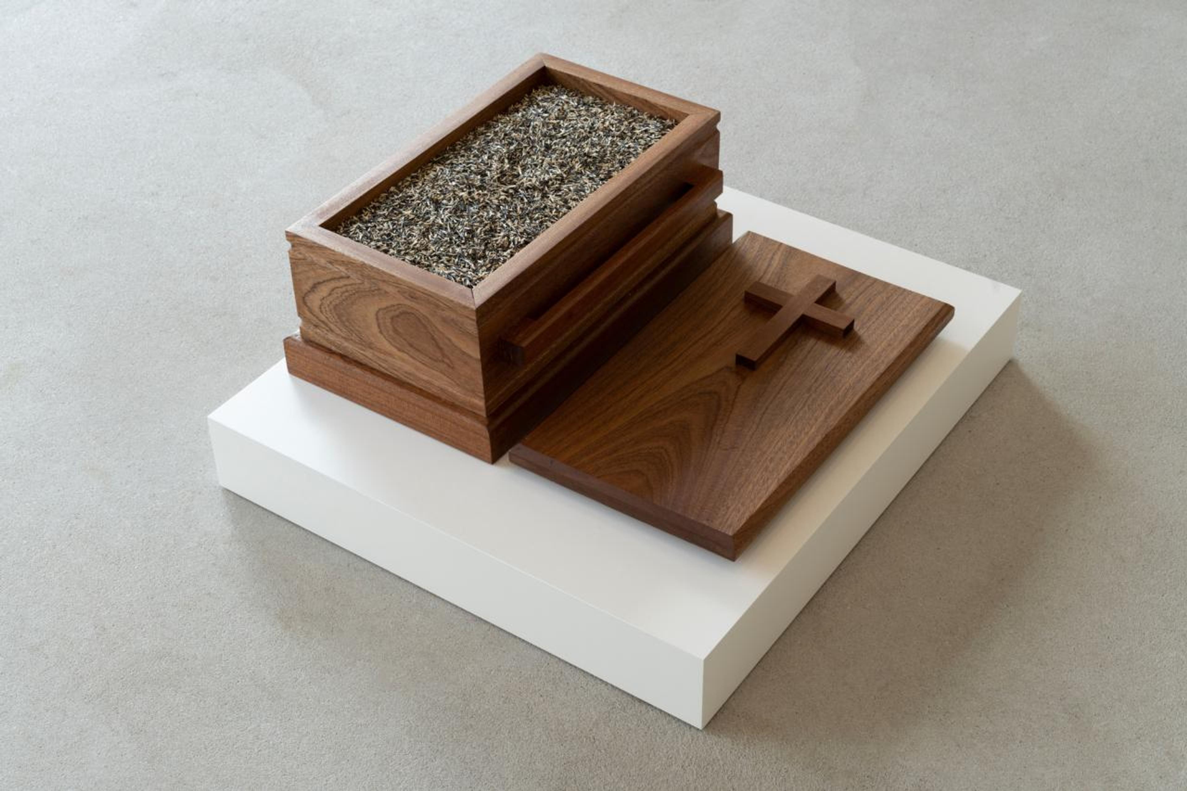 Rhea Dillon, Incomprehensible Sex Coming To Its Dreaded Fruition; nothing remains but Pecola & the Unyielding Earth, 2023, sapele mahogany and marigold seeds, 22.5 x 38 x 19 cm