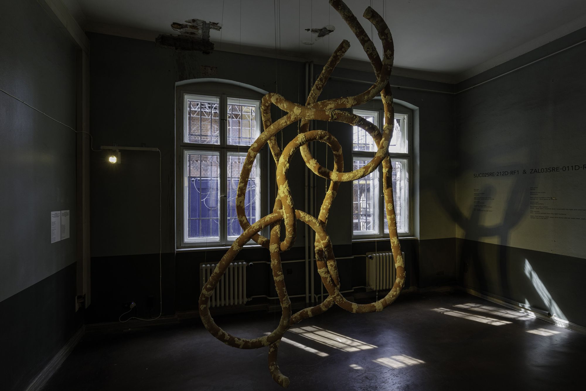 Lehterstr. Milica Tomić