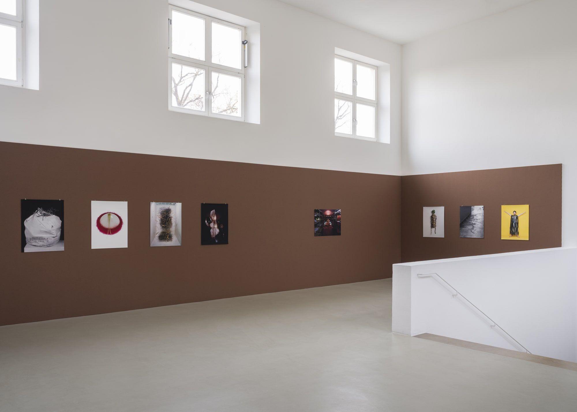 View of “Flower Planet,” Kunstverein München, 2025