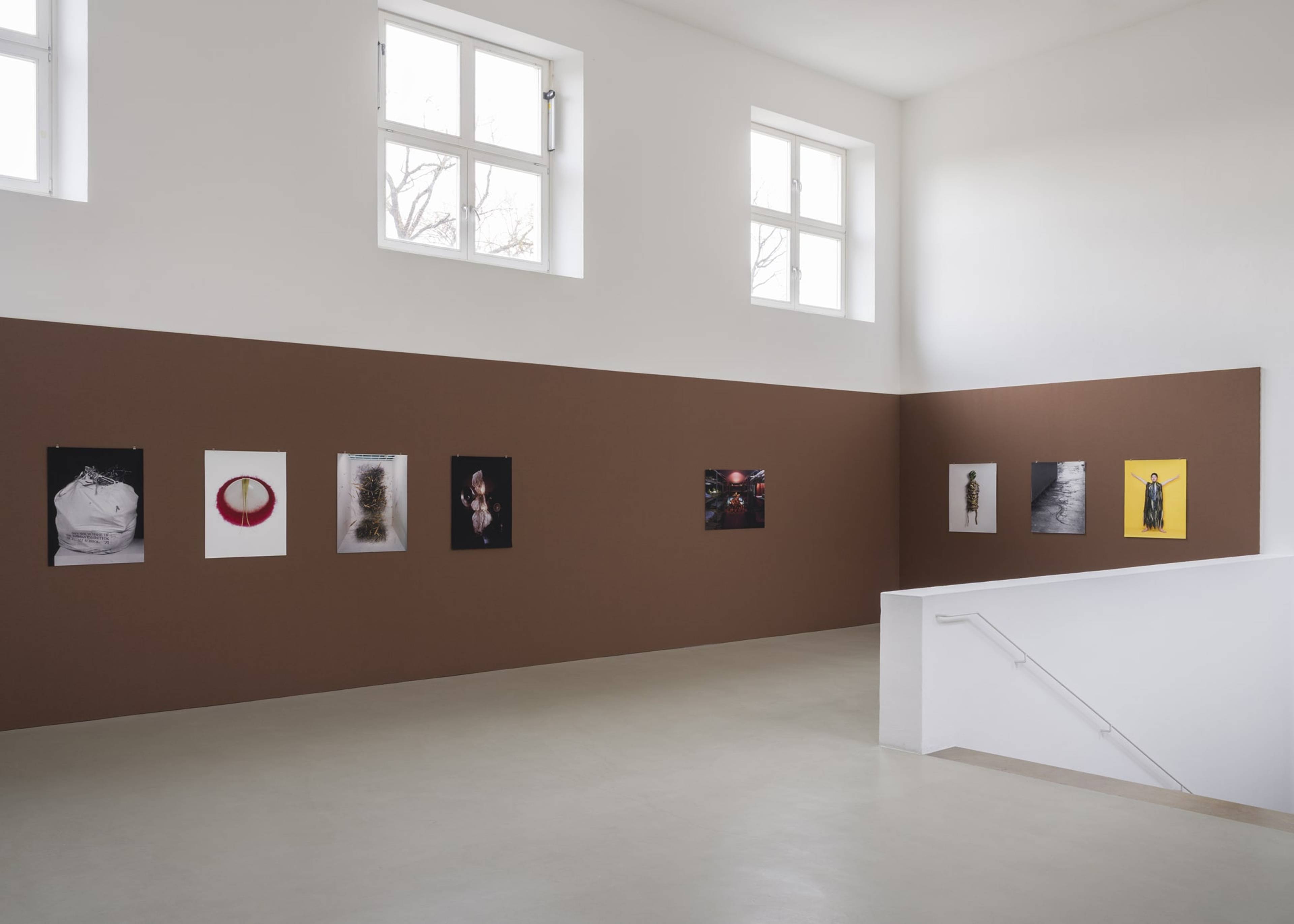 View of “Flower Planet,” Kunstverein München, 2025