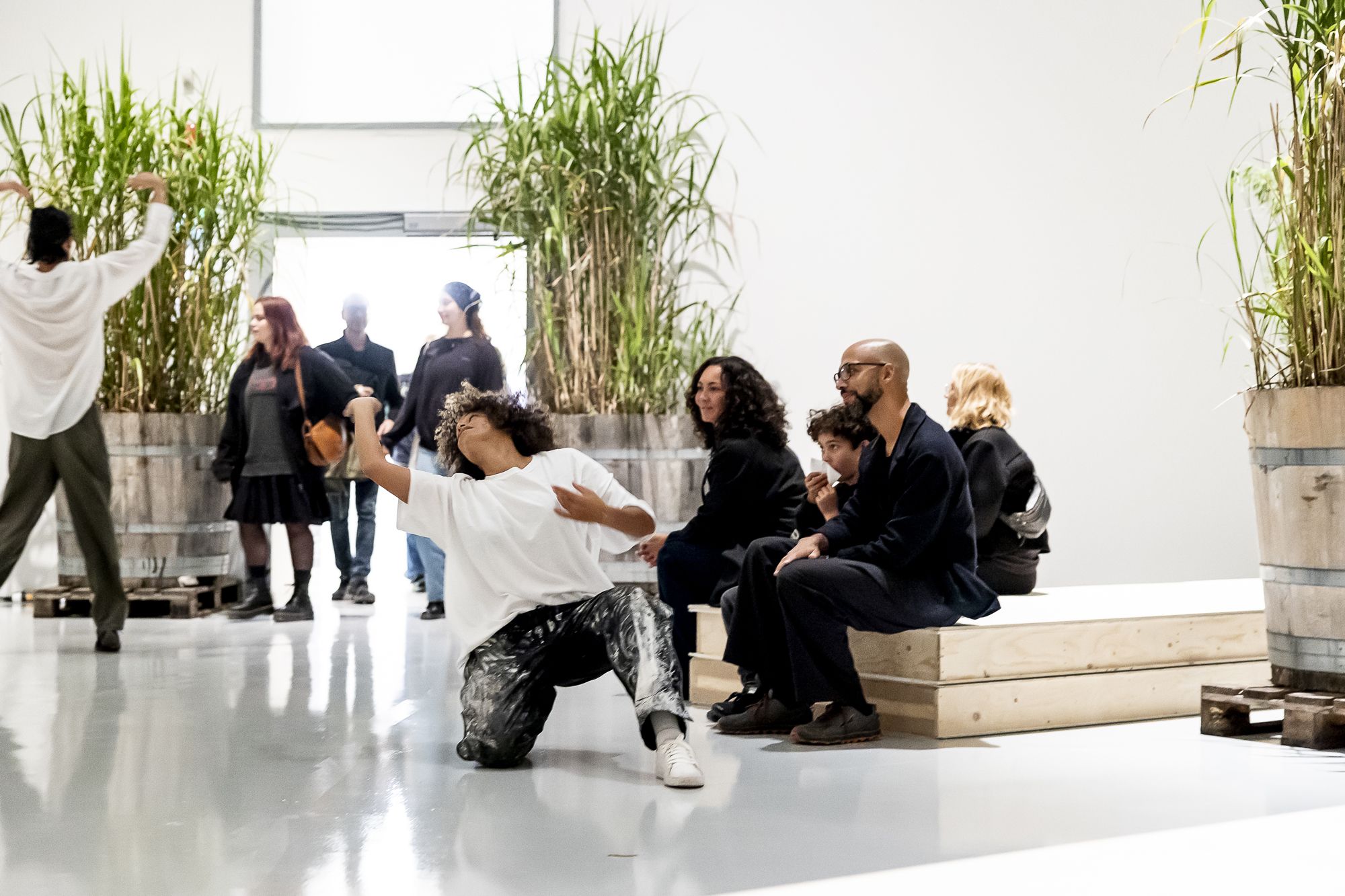 “Opening Occasion” Hosted by Isabel Lewis