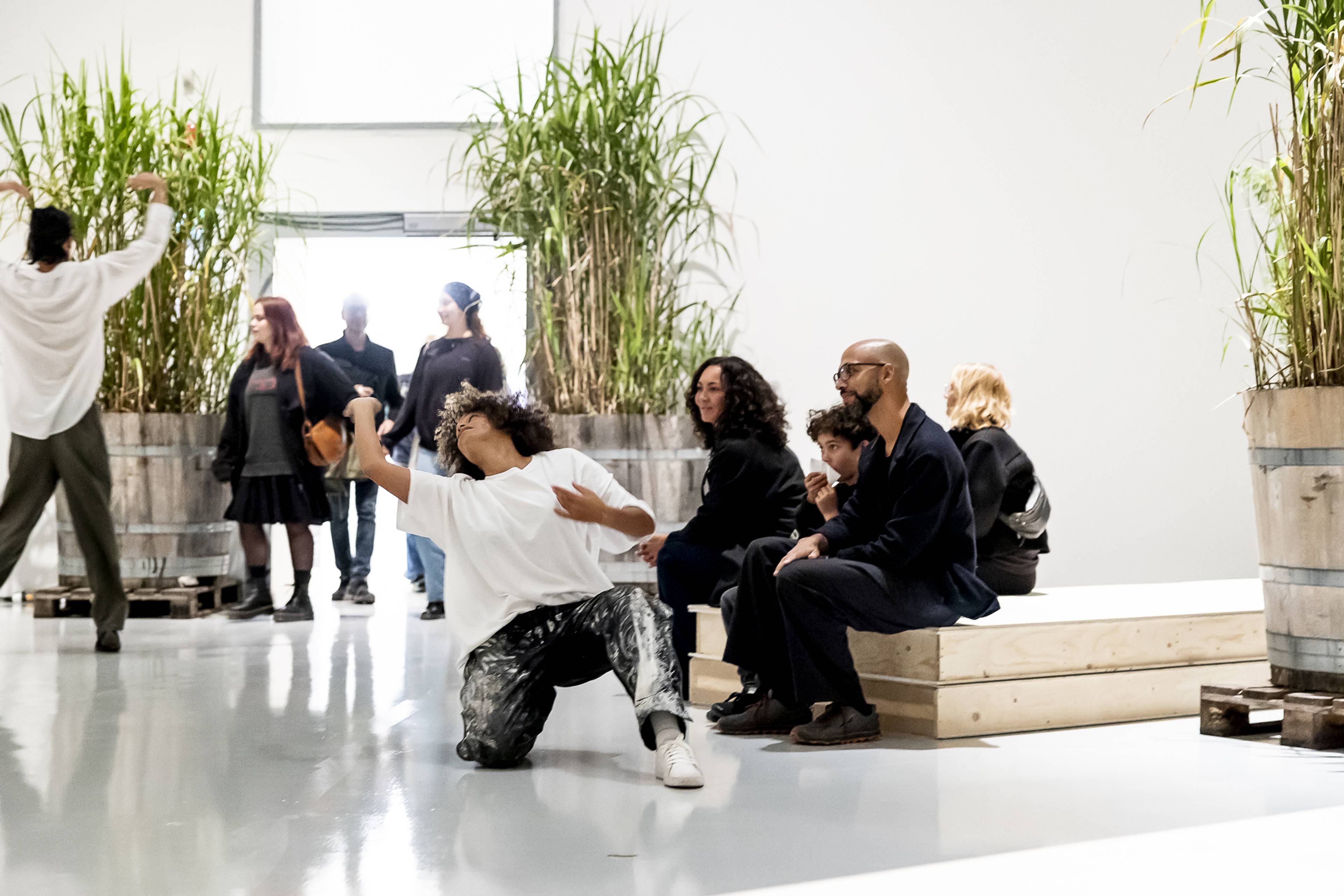 “Opening Occasion” Hosted by Isabel Lewis