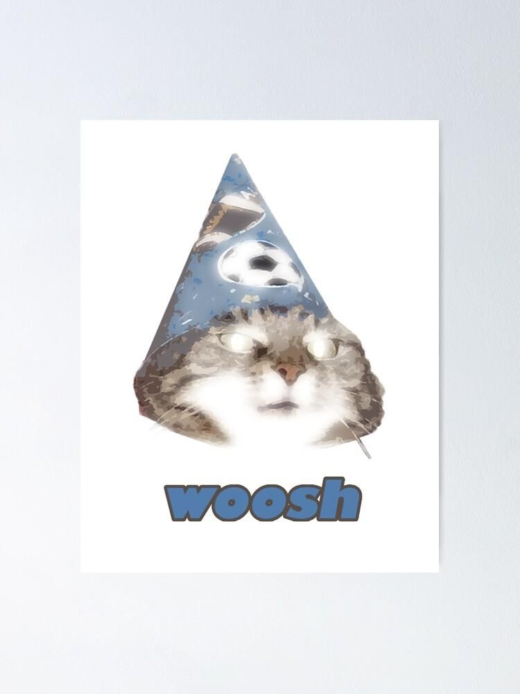 The wizard cat from the 'Woosh' meme 