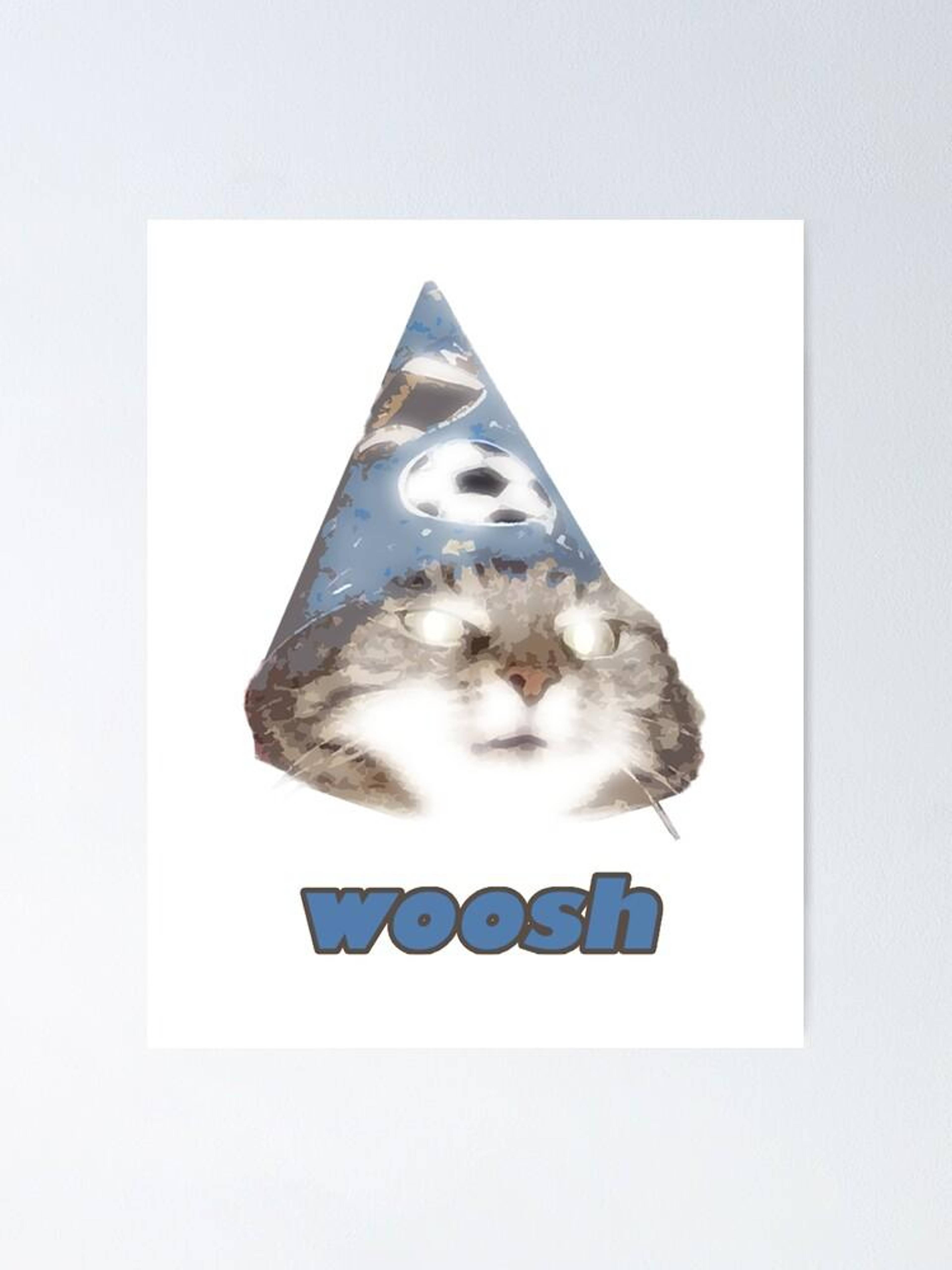 The wizard cat from the 'Woosh' meme