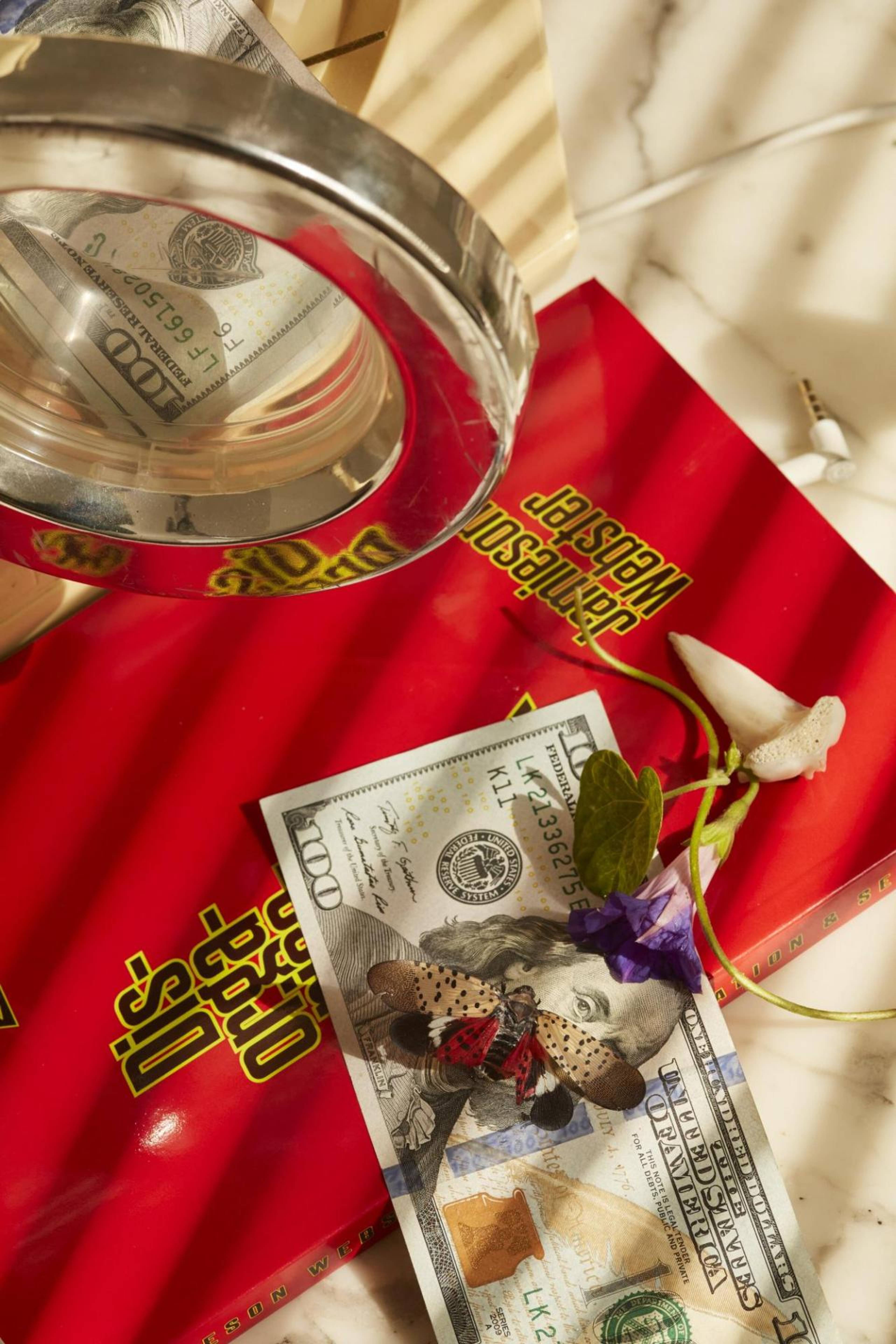 Roe Ethridge, Prick Washer with Ador-gnome , 2022