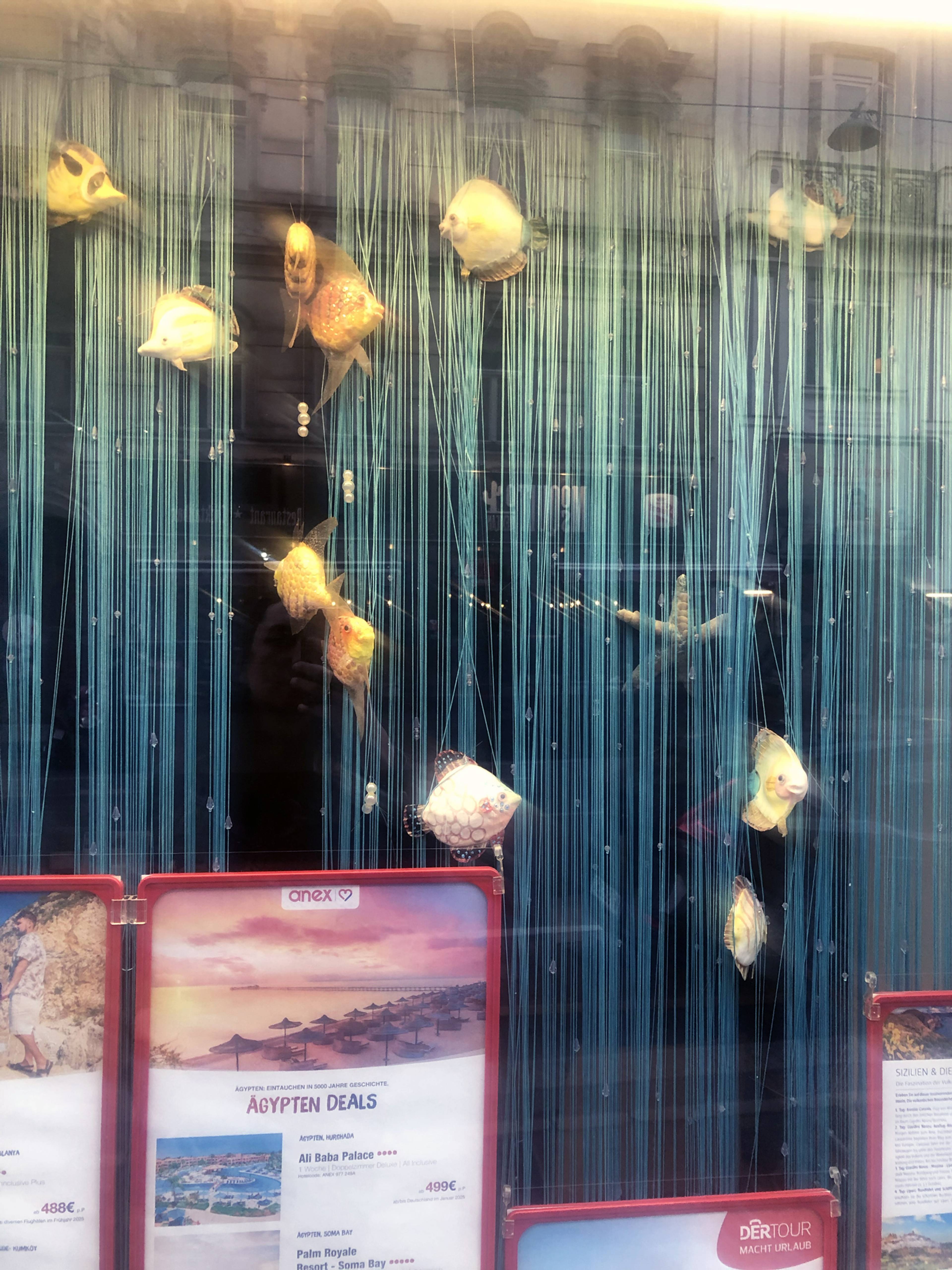 Window display, Vienna, 2025. Photo: the author