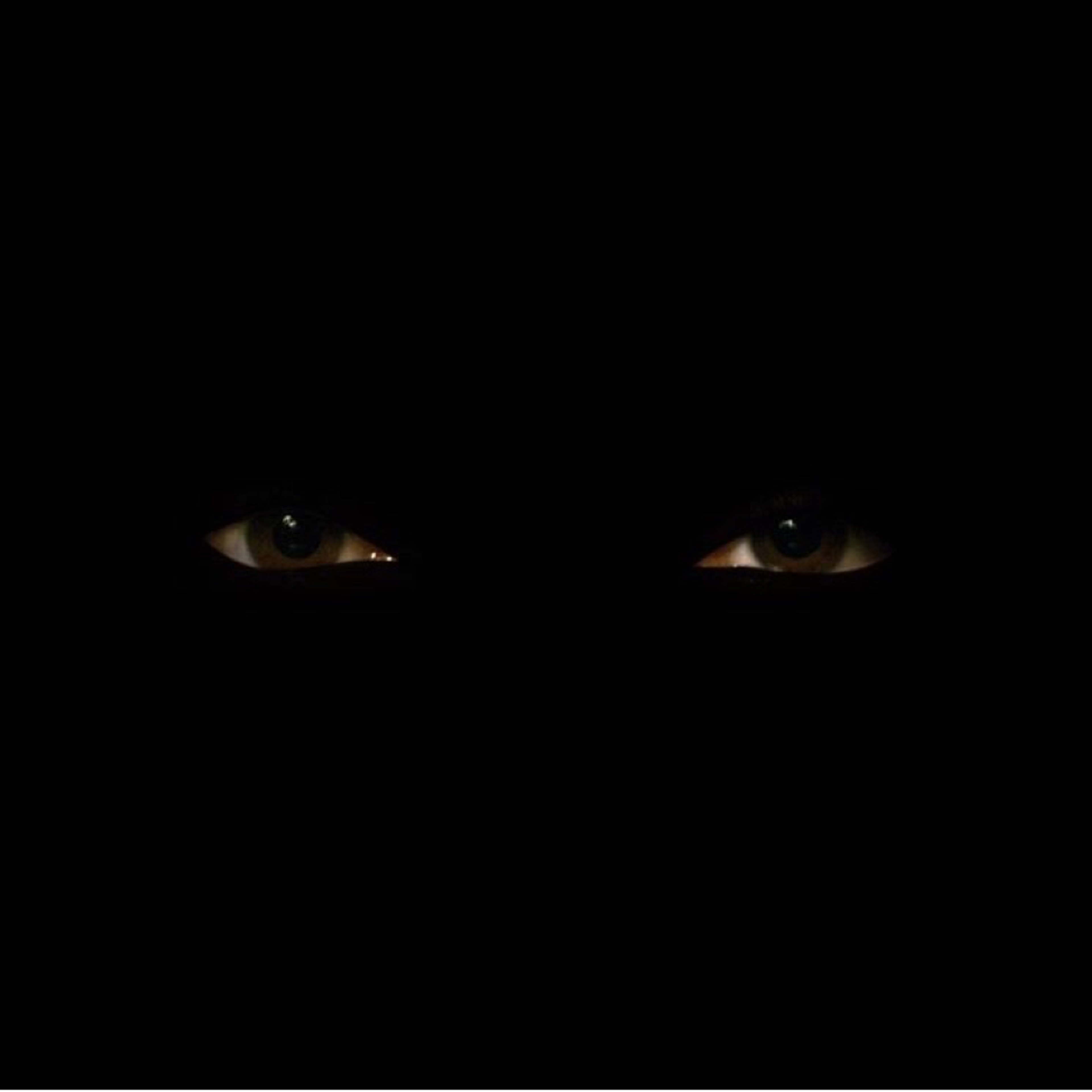 Unidentified video artwork ("Hello. My name is Gekyume")