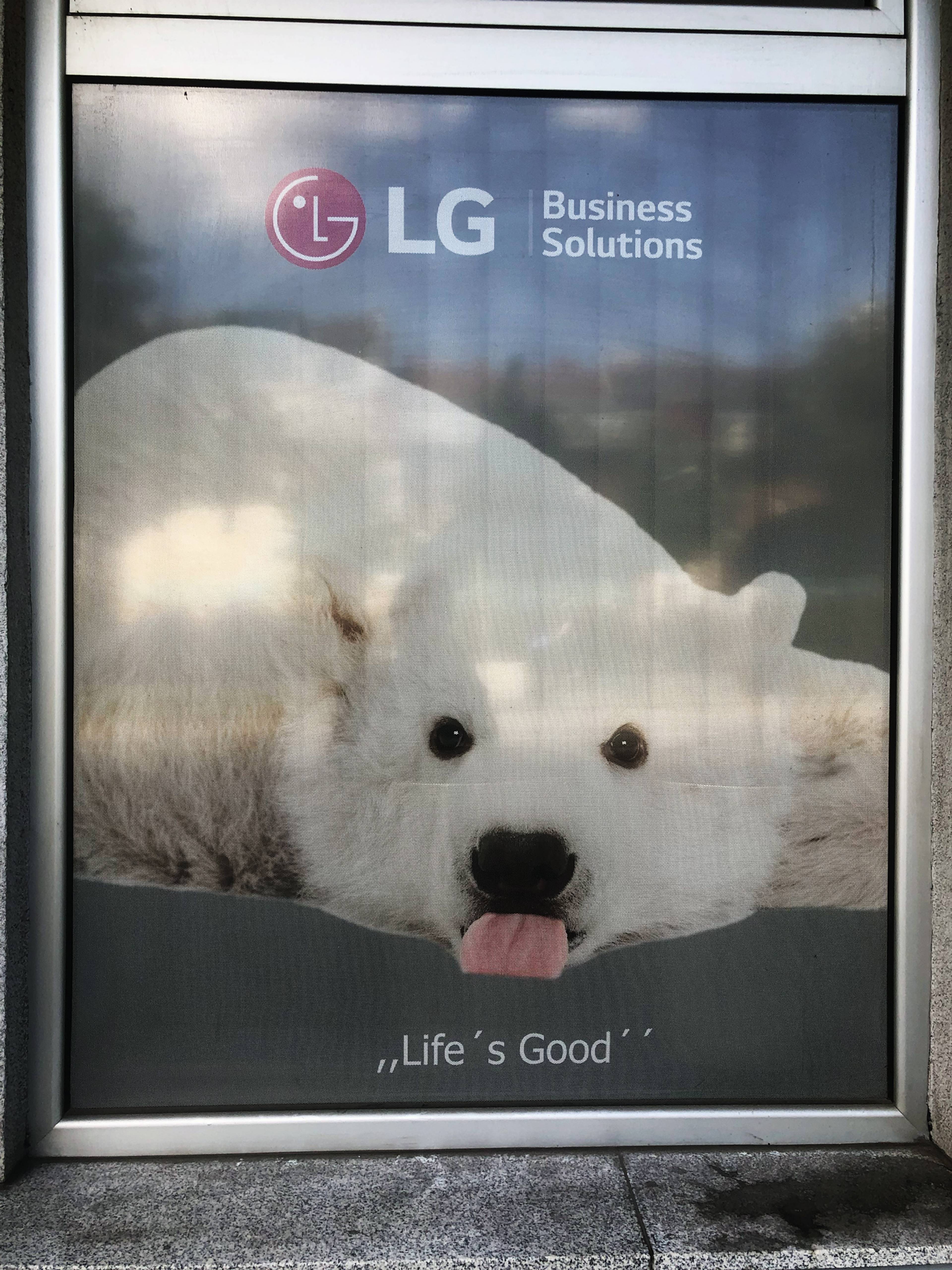 Photo: Aodhan Madden