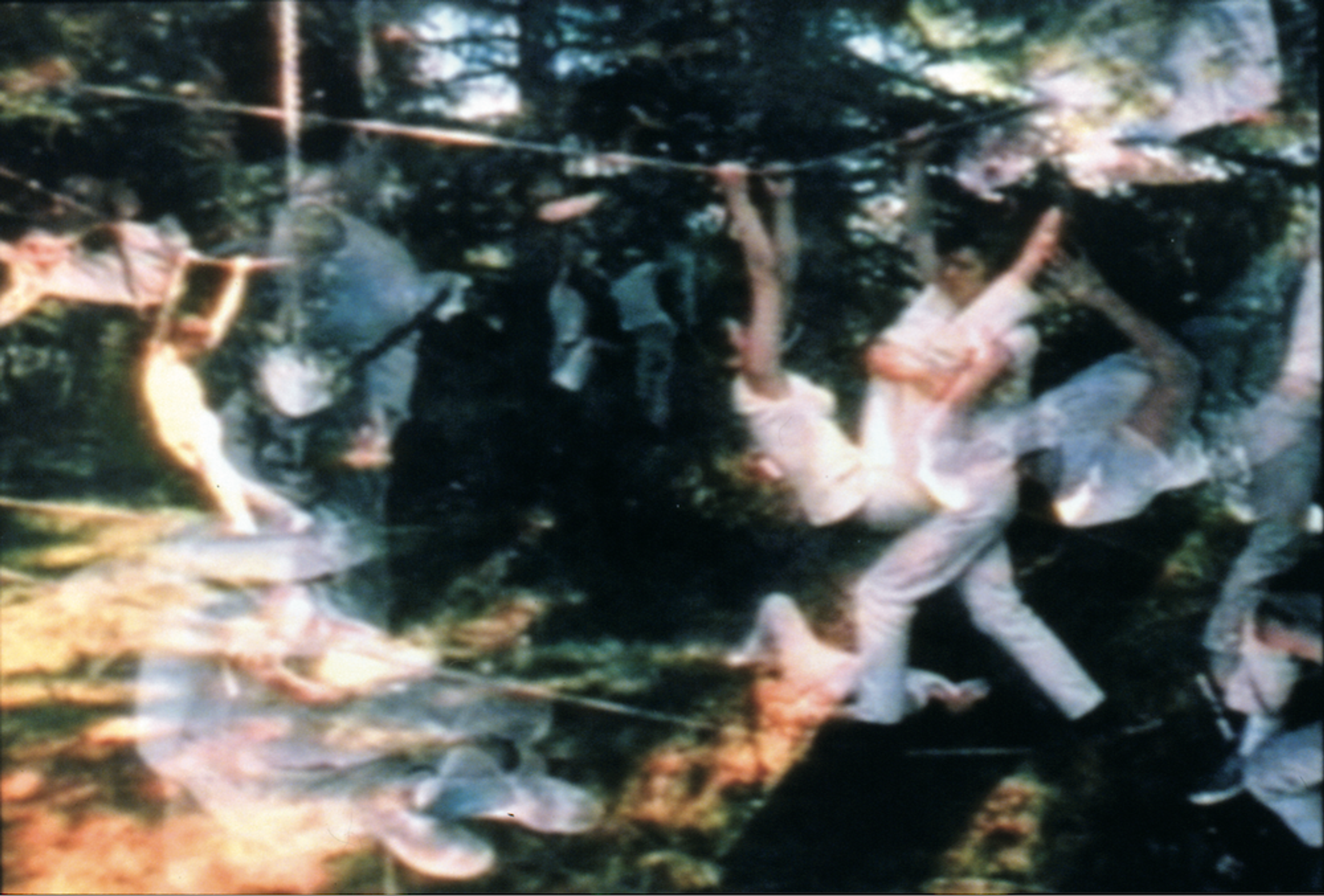 Carolee Schneemann Water Light/Water Needle Lake Mahwah  (1966)