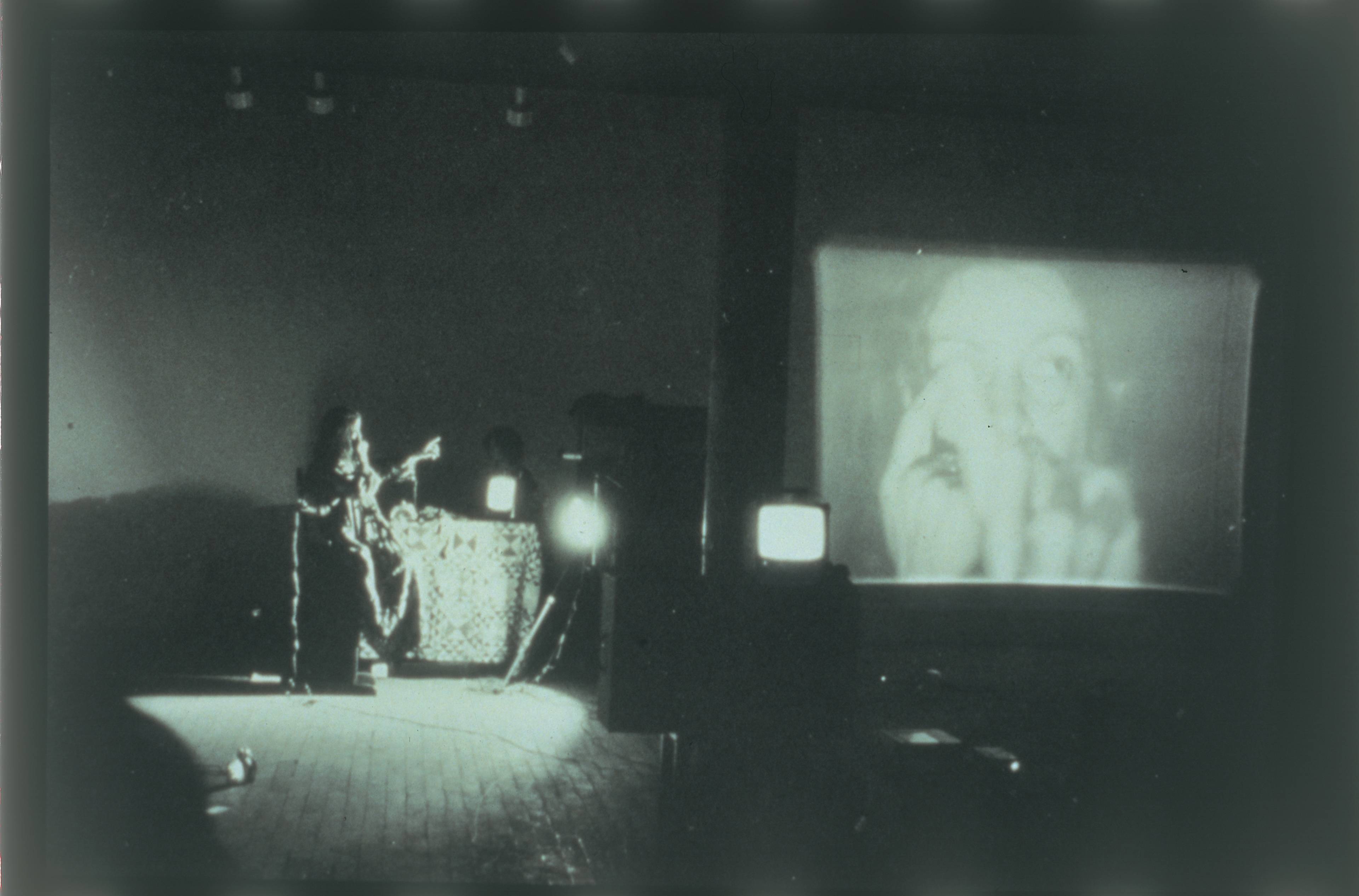 Organic Honey’s Visual Telepathy, 1972