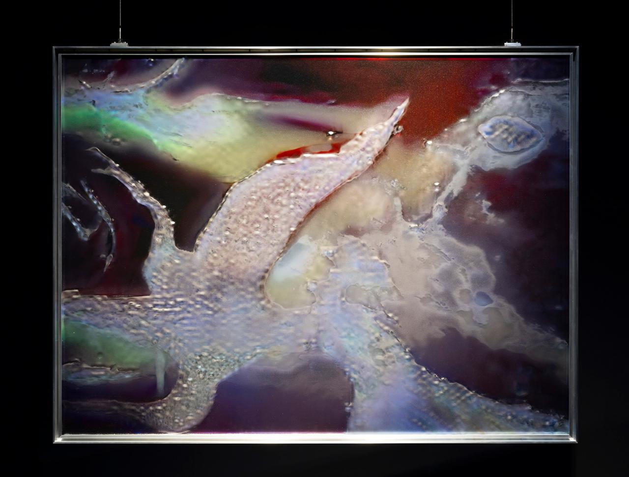 Anicka Yi, LñRþRL, 2023