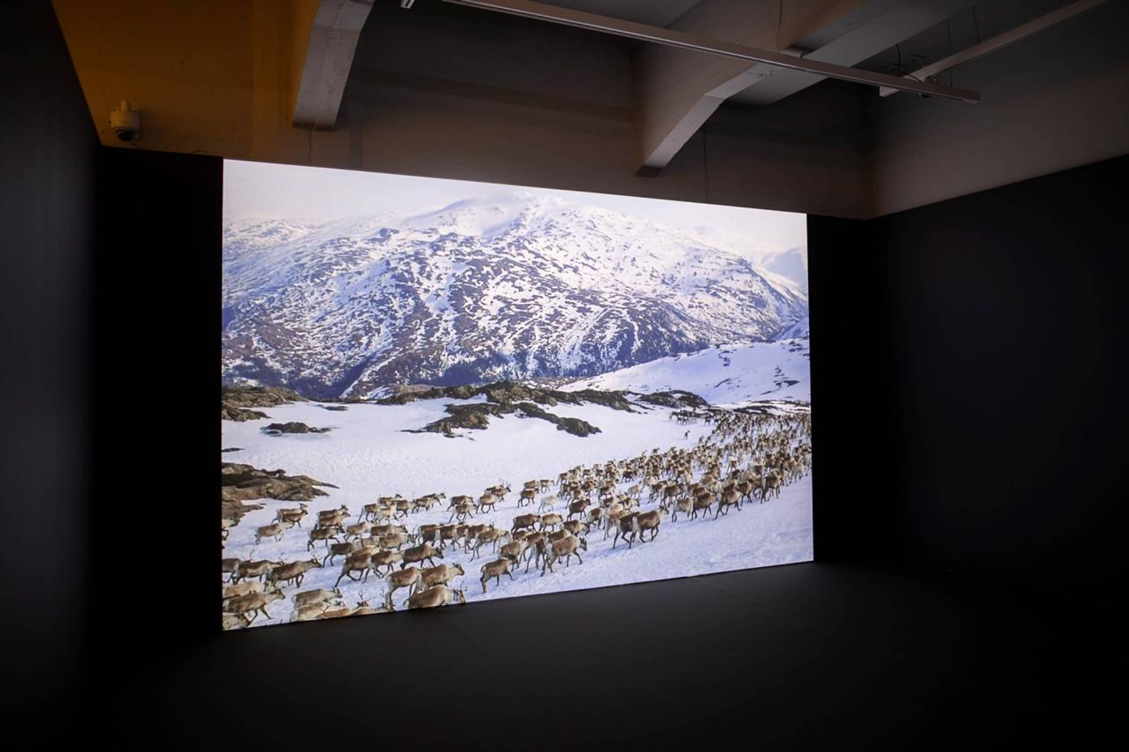 INTERPRT, Colonial Present: Counter-mapping the Truth and Reconciliation Commissions in Sápmi, 2023