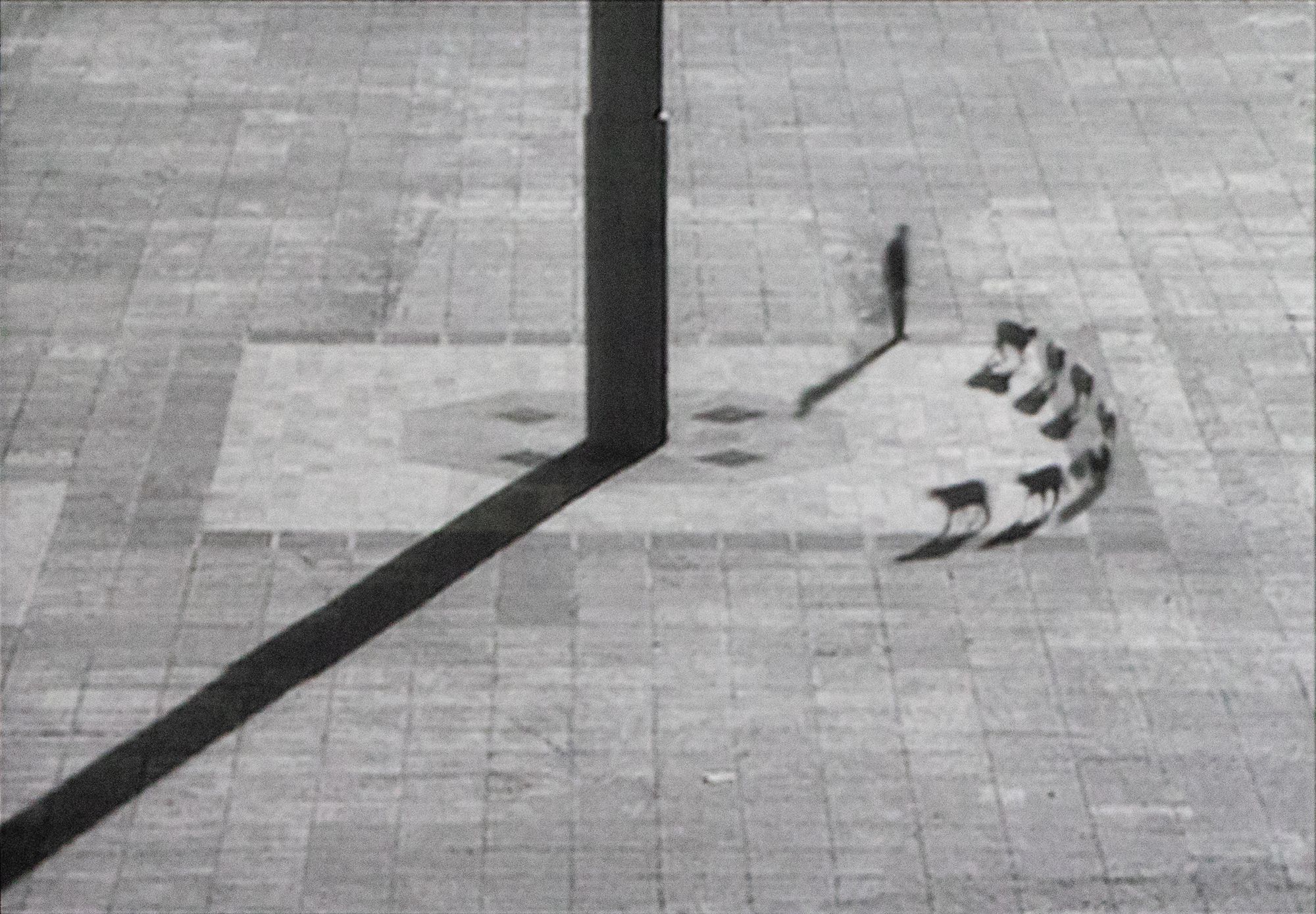 Francis Alÿs, Cuentos Patrioticos (Patriotic Tales), 1997