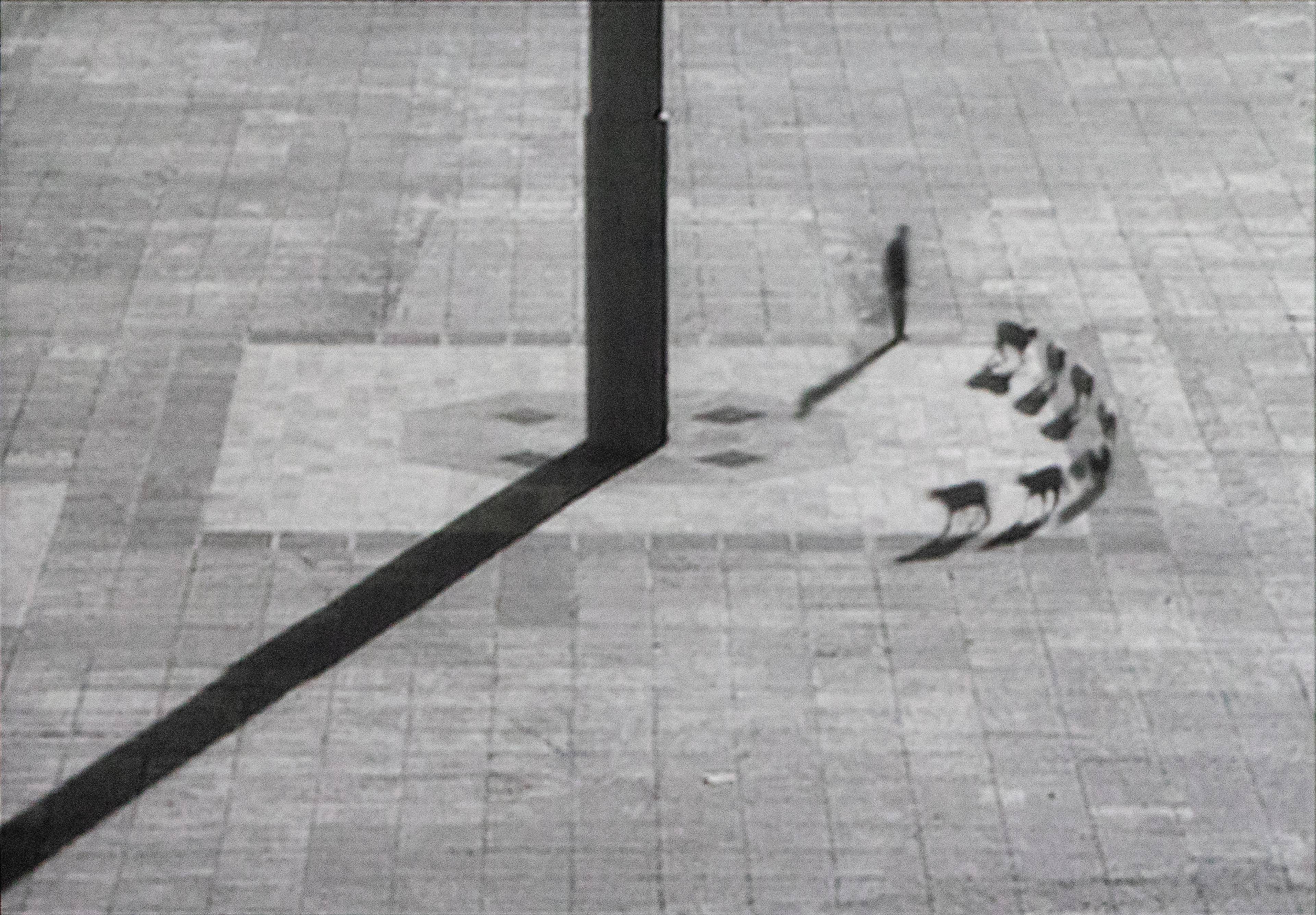 Francis Alÿs, Cuentos Patrioticos (Patriotic Tales), 1997