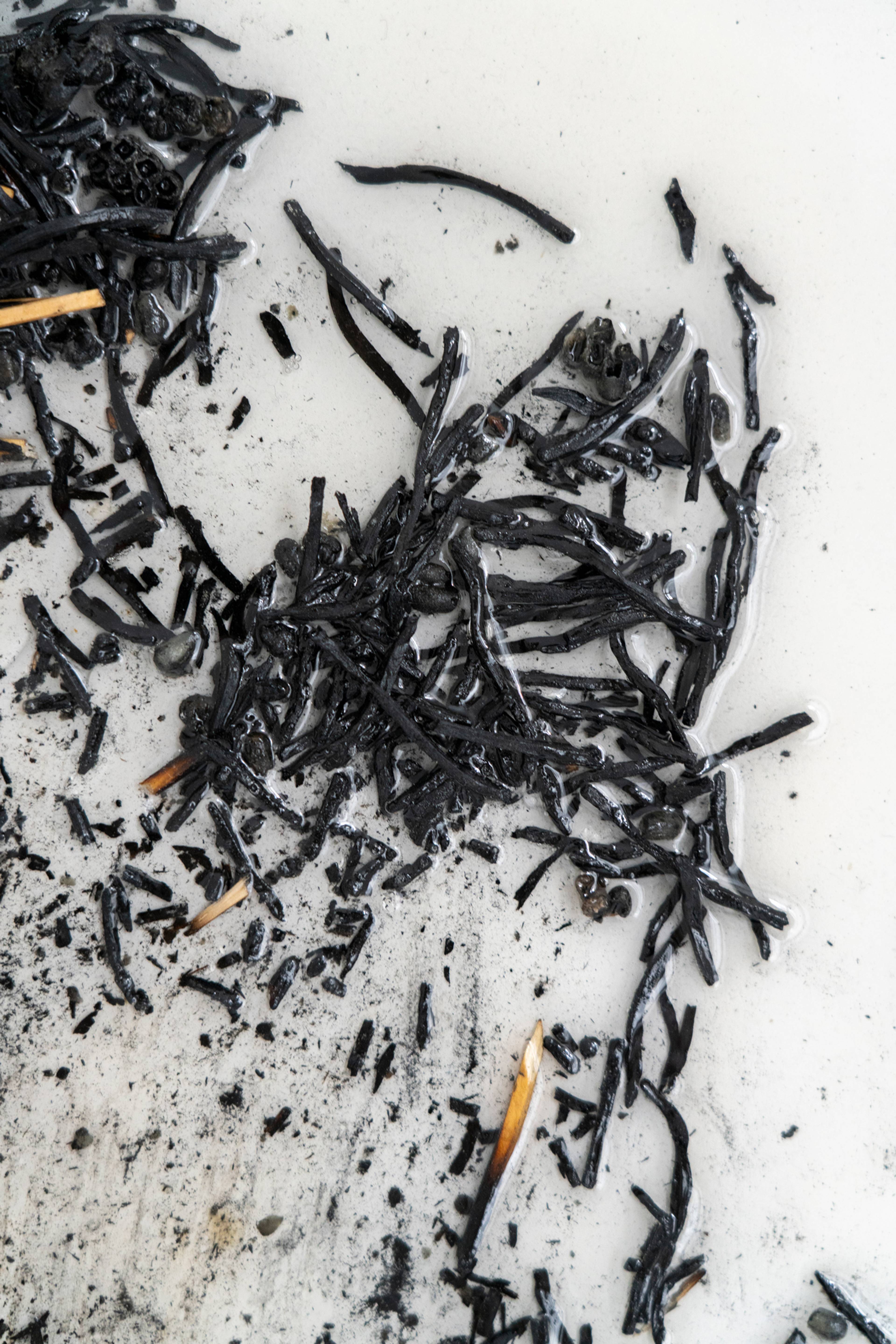 Lara Killer, Abgaben #6, 2024