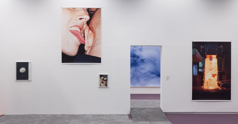 アート・デザイン・音楽 Wolfgang Tillmans SNAP ART COLLECTION 3 アート・デザイン・音楽 Wolfgang Tillmans SNAP ART COLLECTION