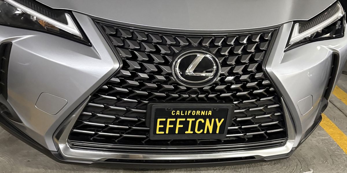 Thumbnail of User Error: The Californian Ideology by Adina Glickstein